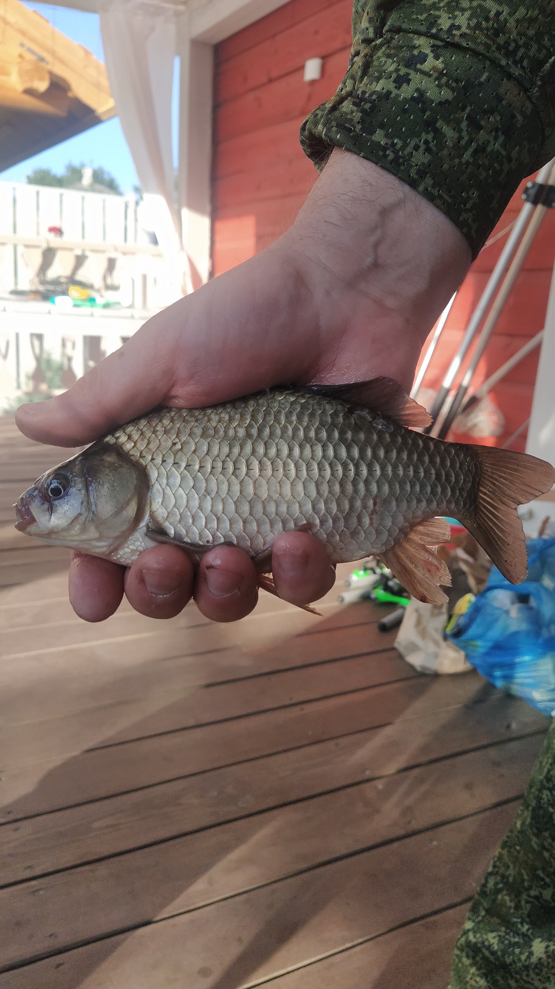 Фото Донские Сезоны