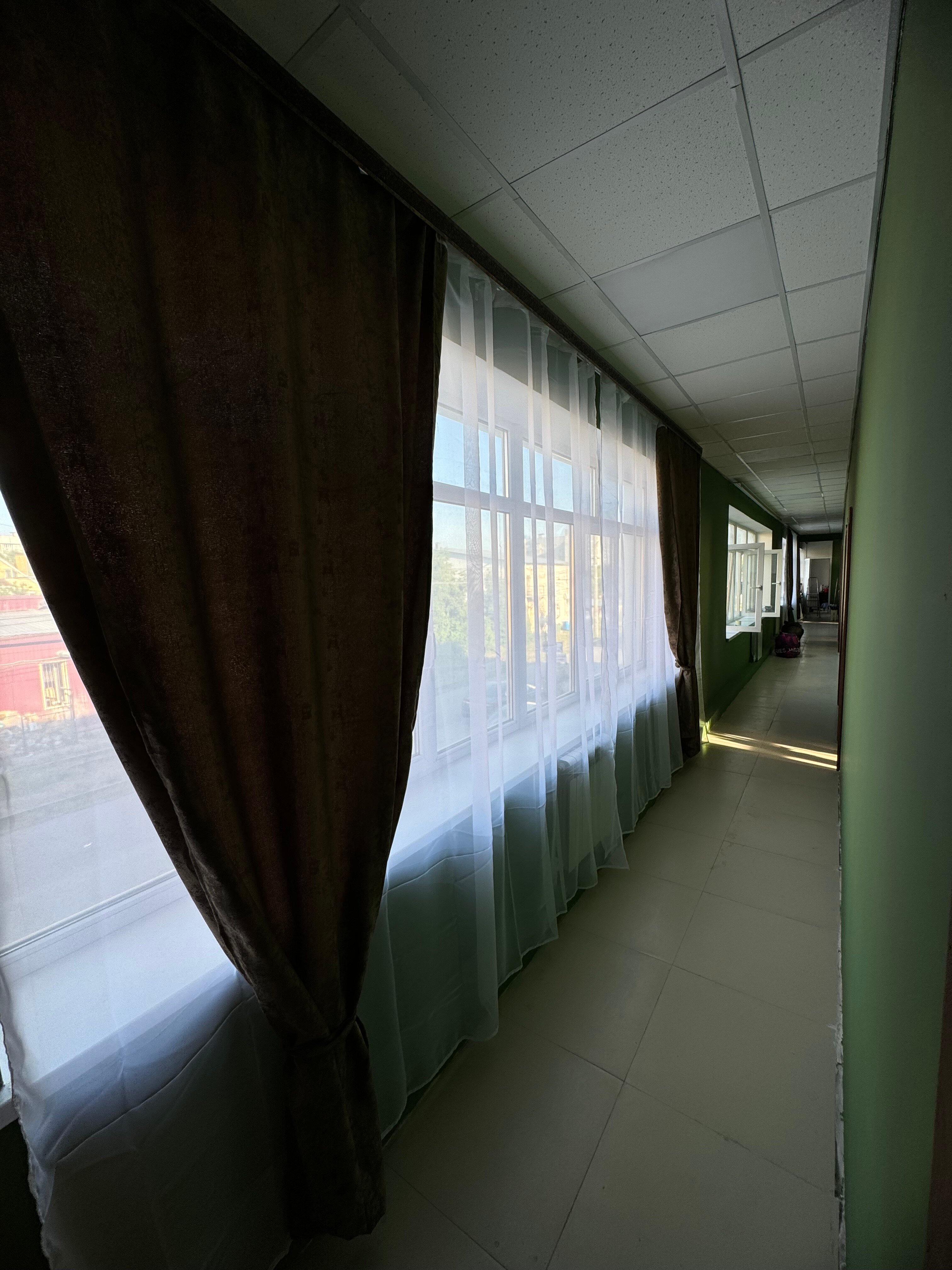 Фото Роза Кавказа Верде