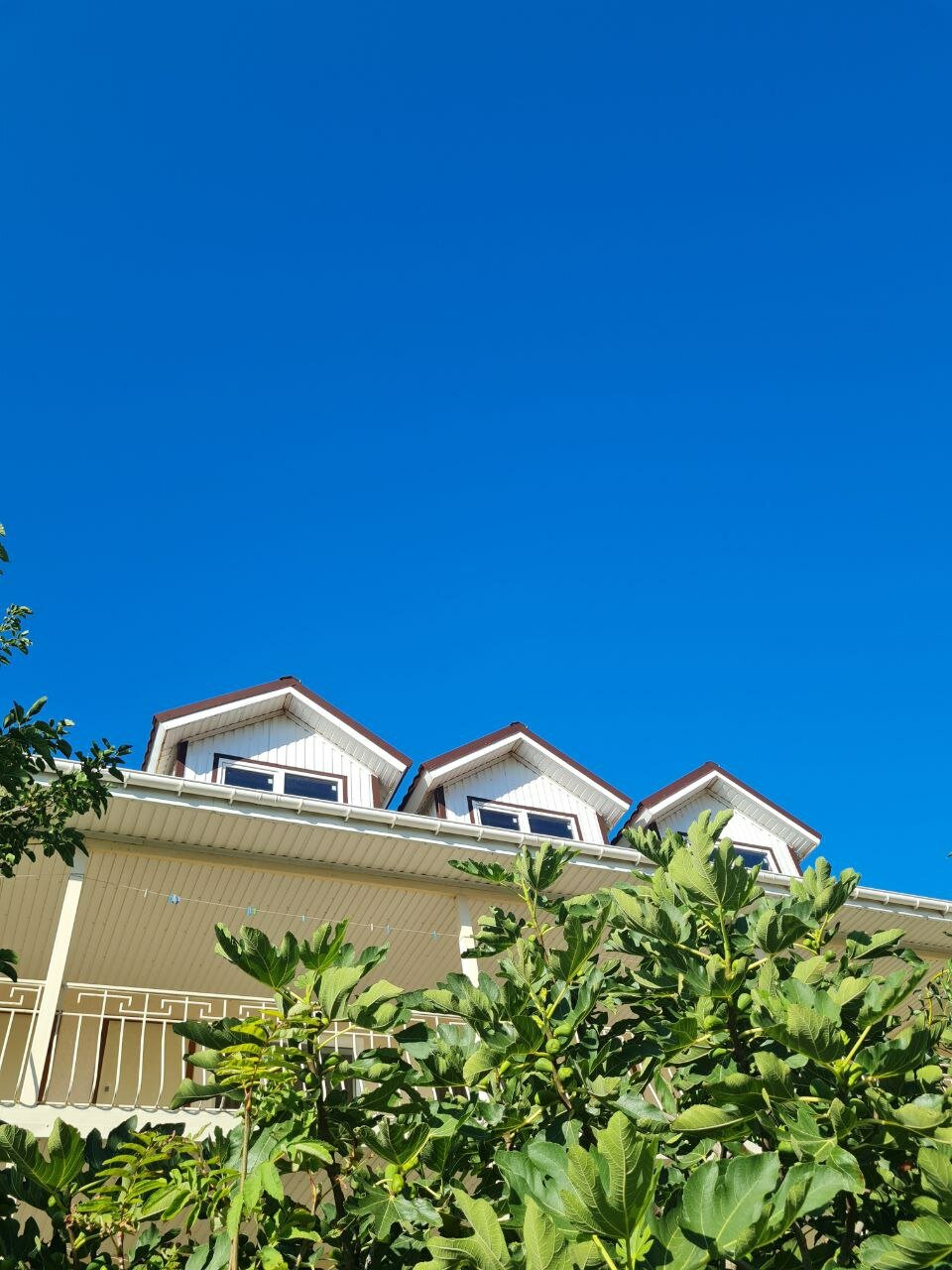 Фото Григорий