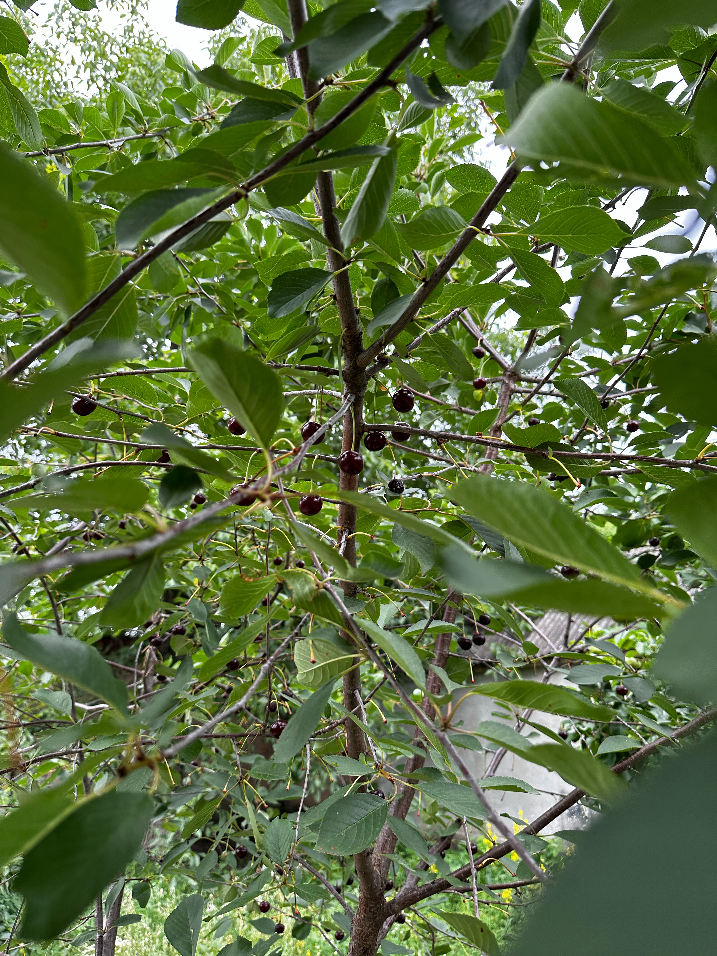 Фото Комфорт+