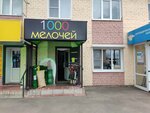1000 Мелочей (Kommunisticheskaya ulitsa, 1), household goods and chemicals shop