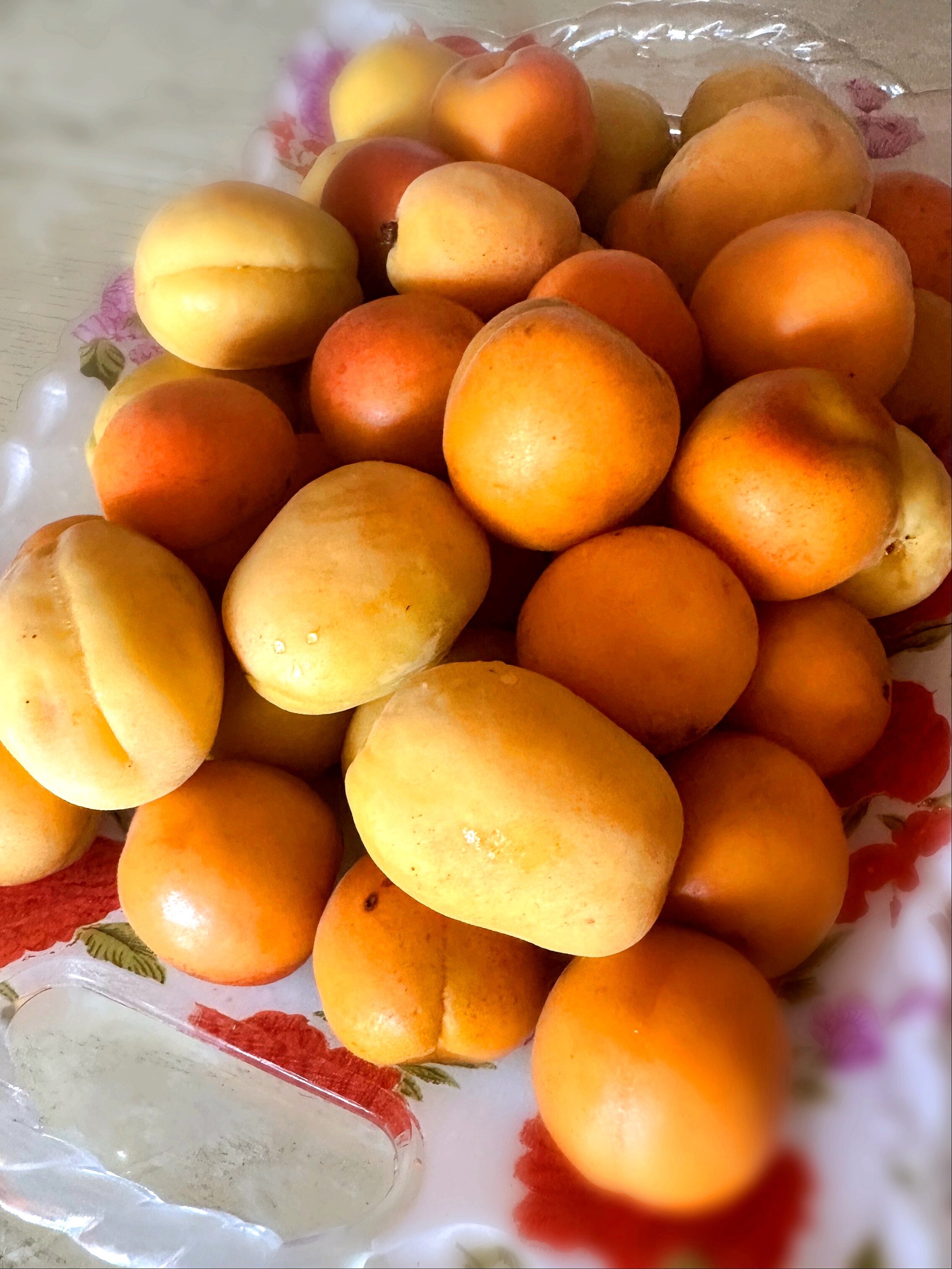 Фото Меотида-Люкс