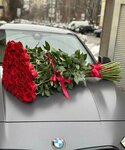 Tsvettorg (Volokolamskiy Avenue, 4), flower shop