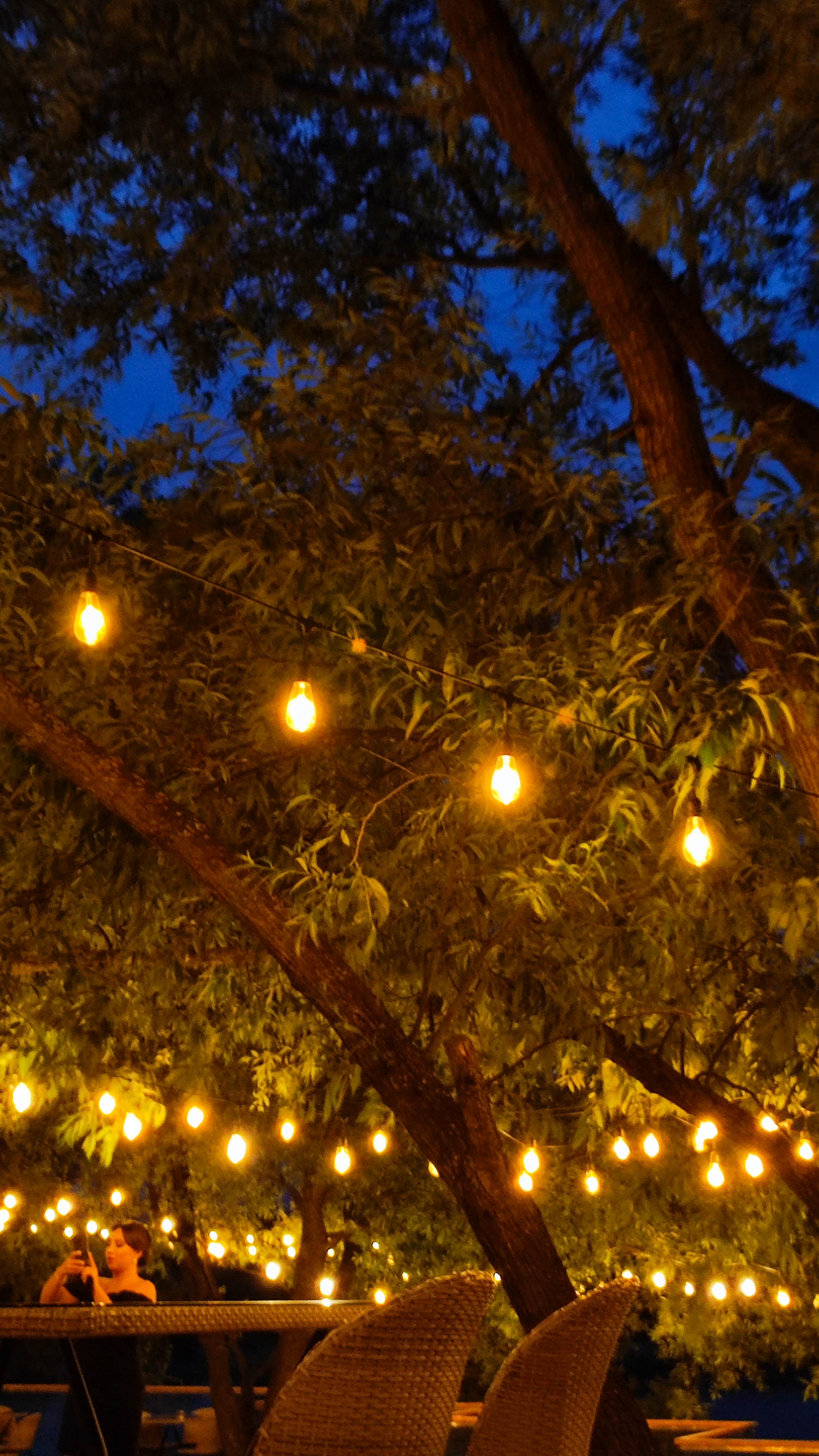 Фото Молоково