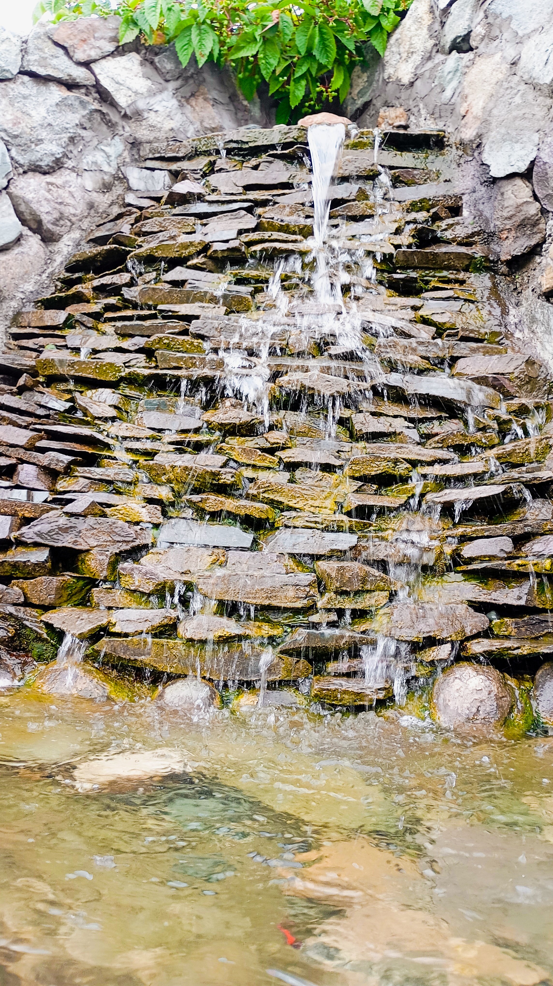 Фото Дежавю