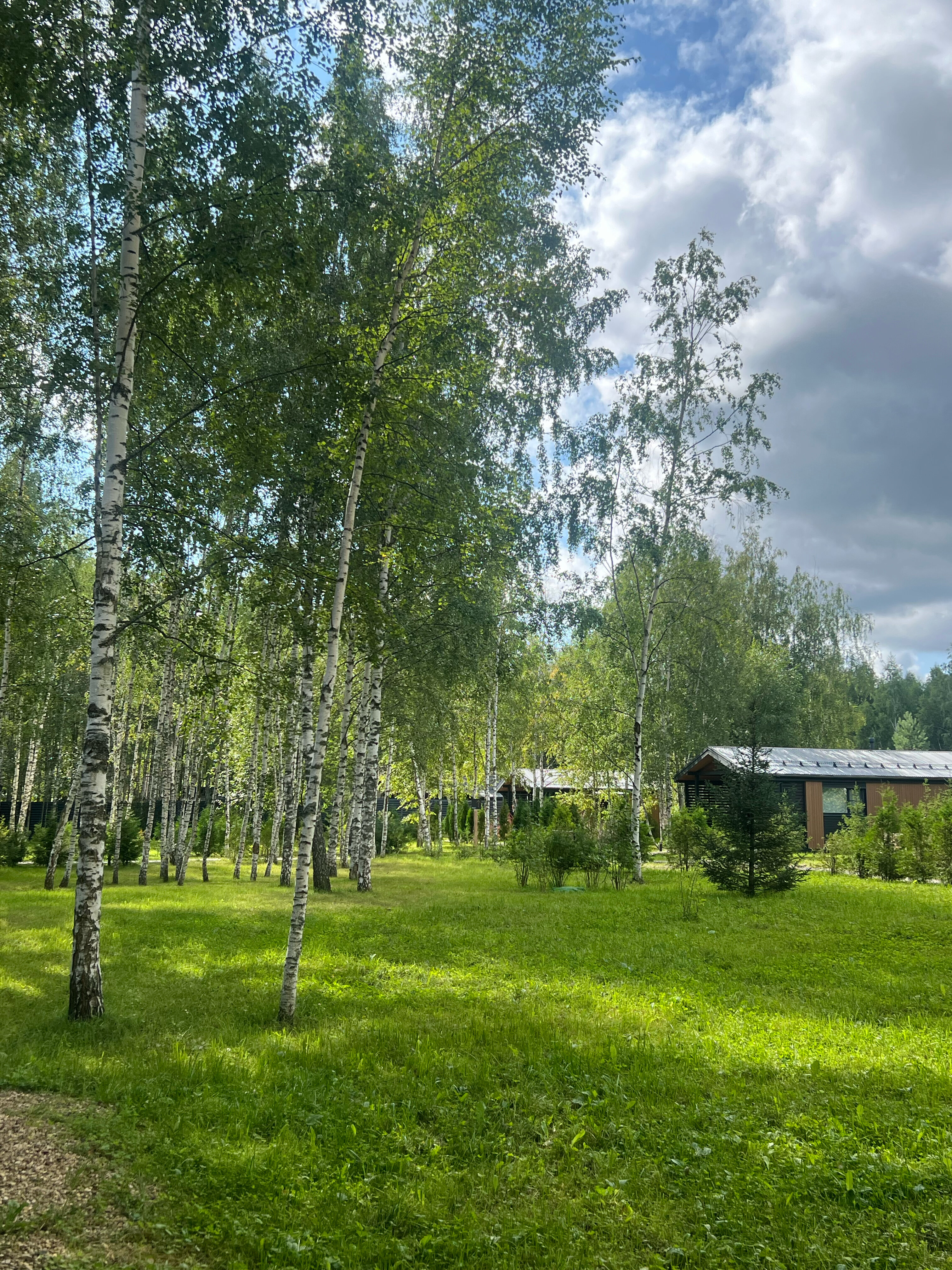 Фото Плавное течение