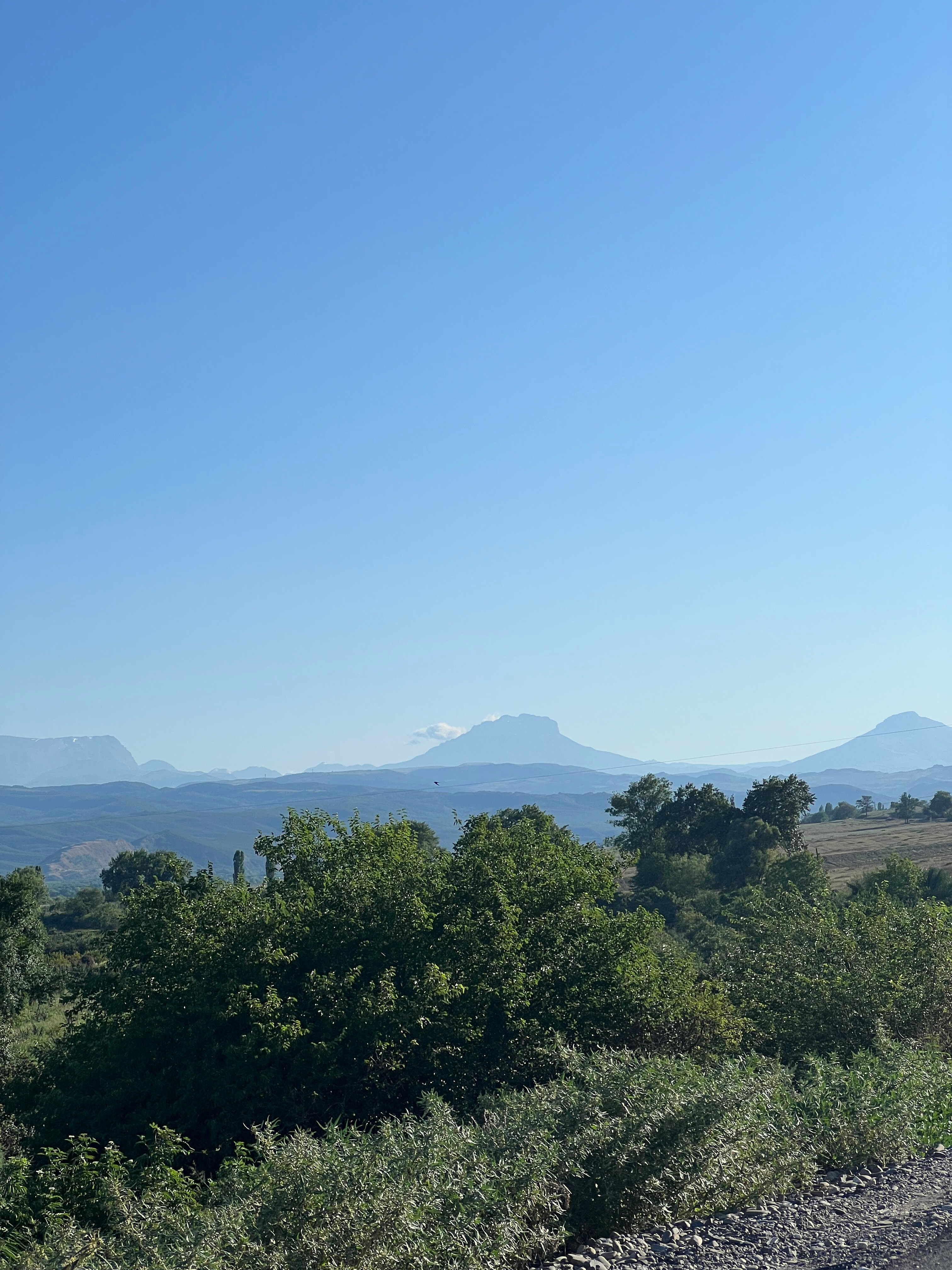 Фото Мамрач