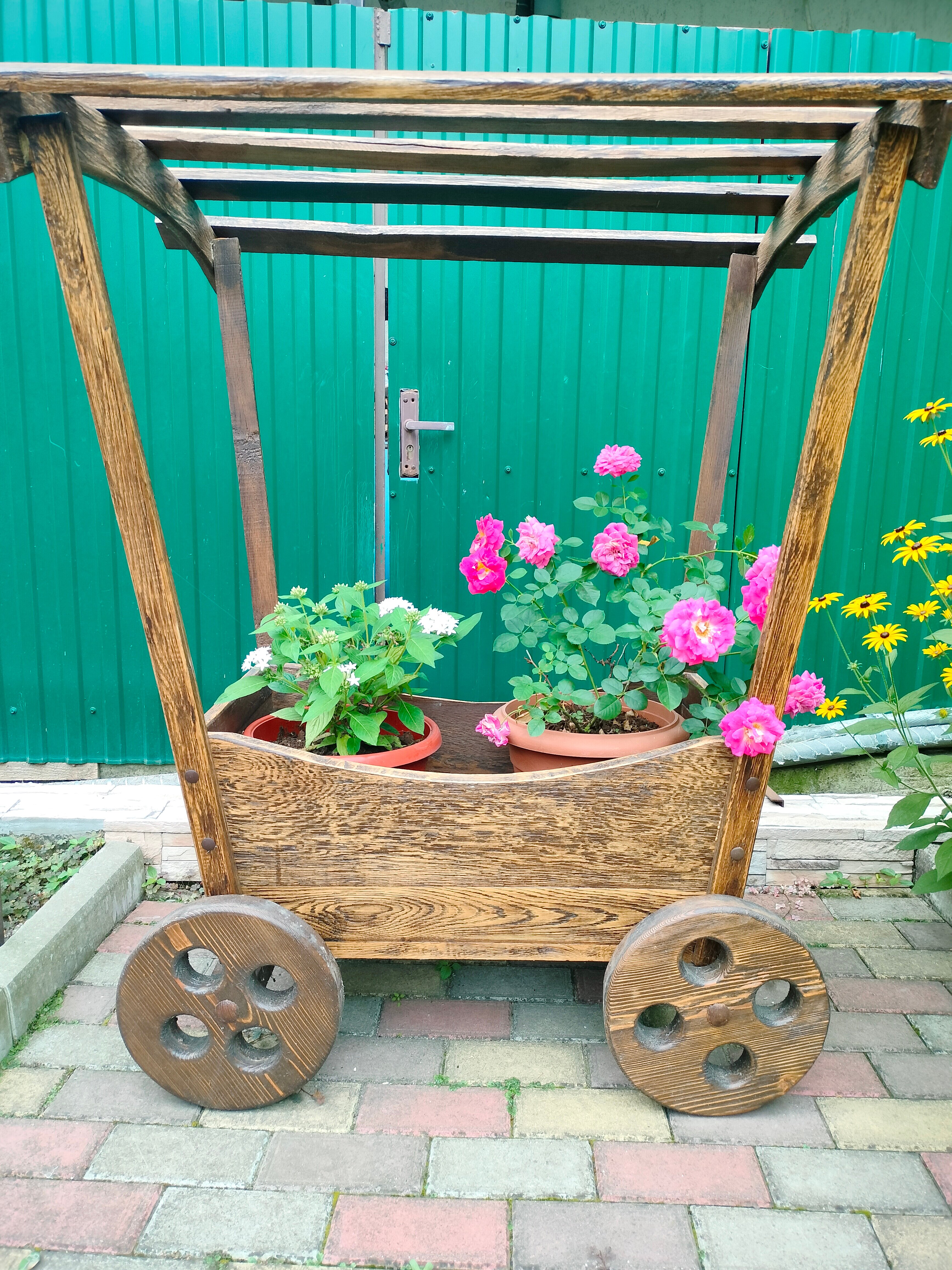 Фото Афродита