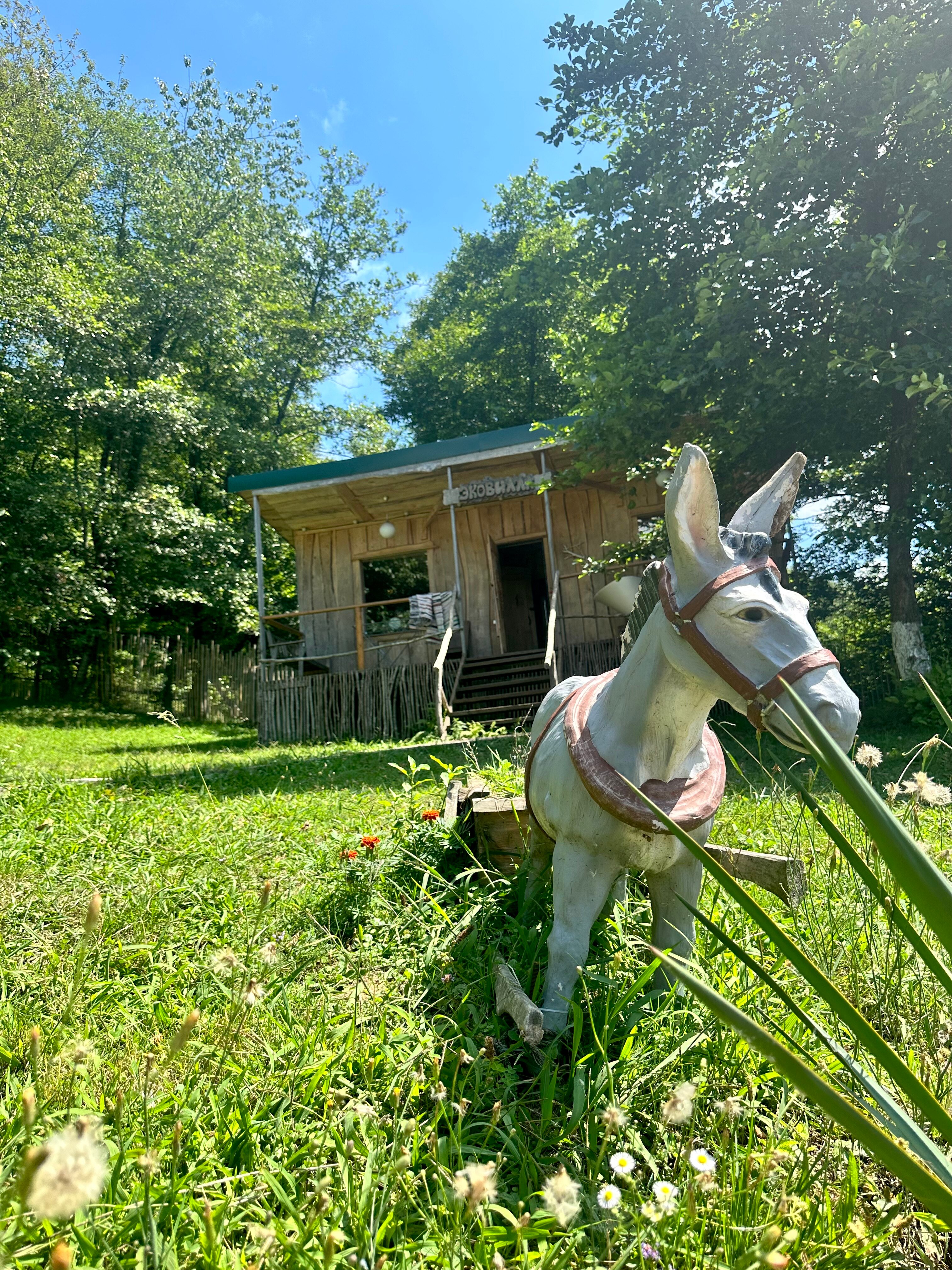 Фото Eco Village Sochi