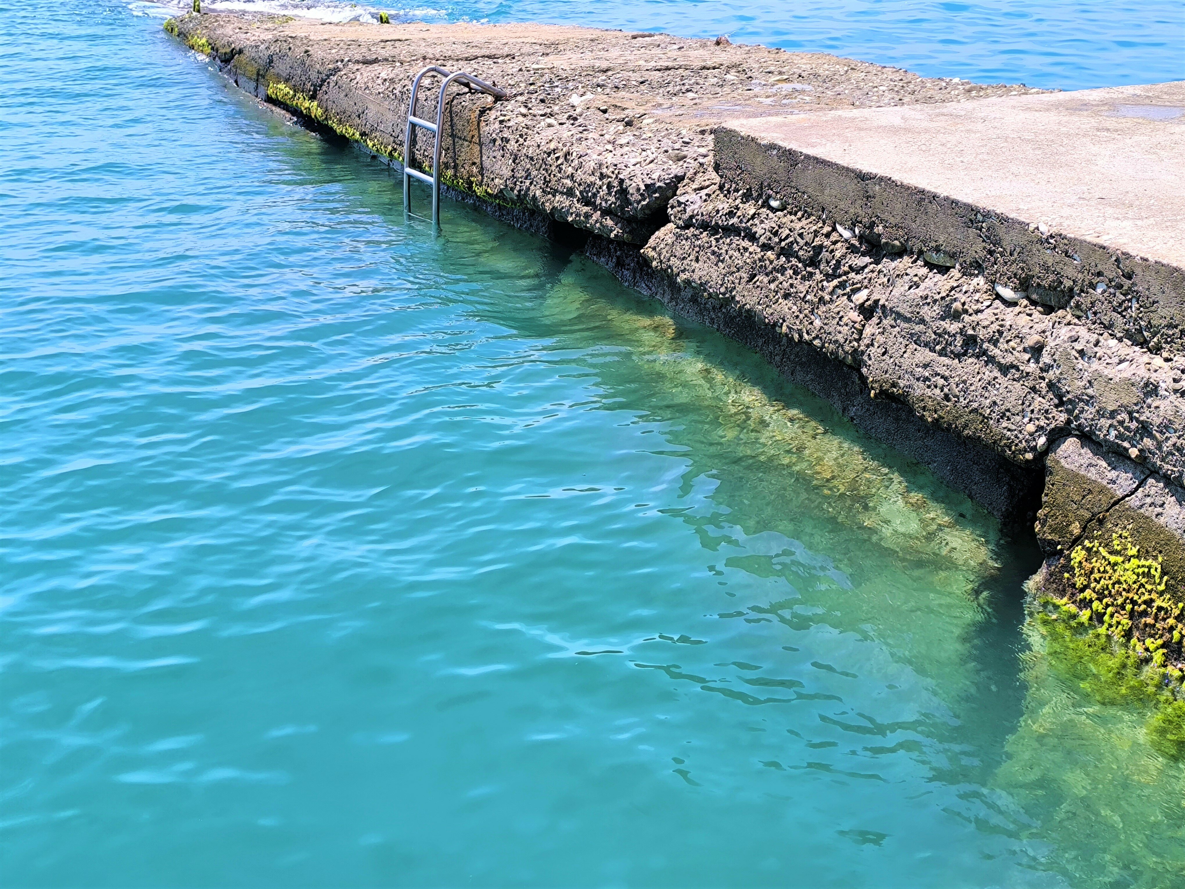 Фото У Кедра