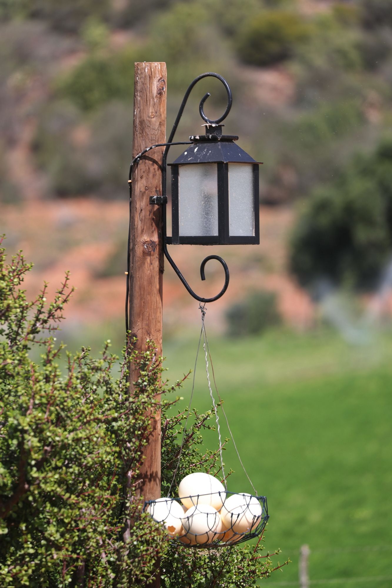 Фото Berluda Farmhouse & Cottages