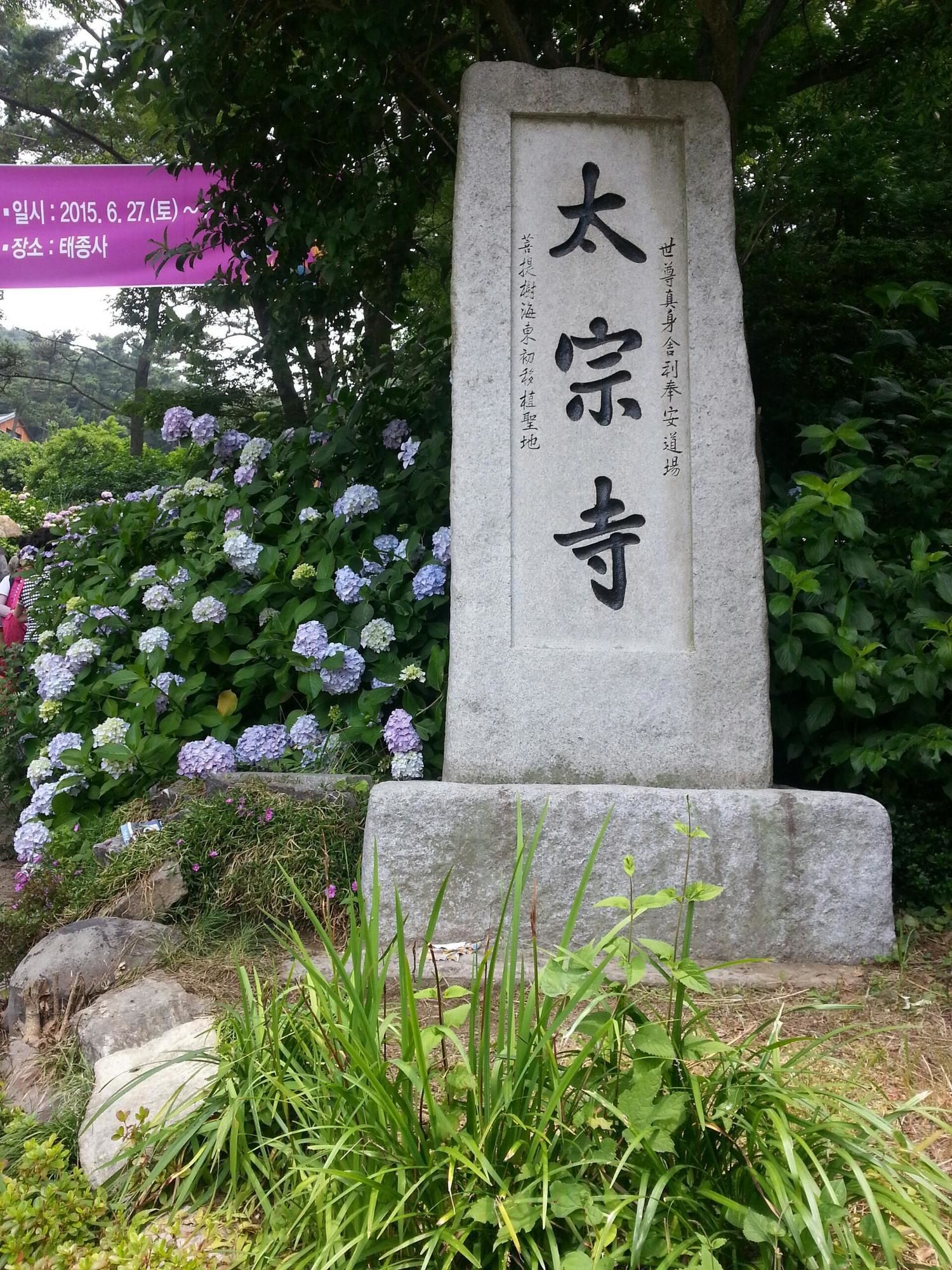 Фото Hyu+ Guest House - Hostel