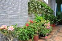 Гостиница Dreams Come True Guest House