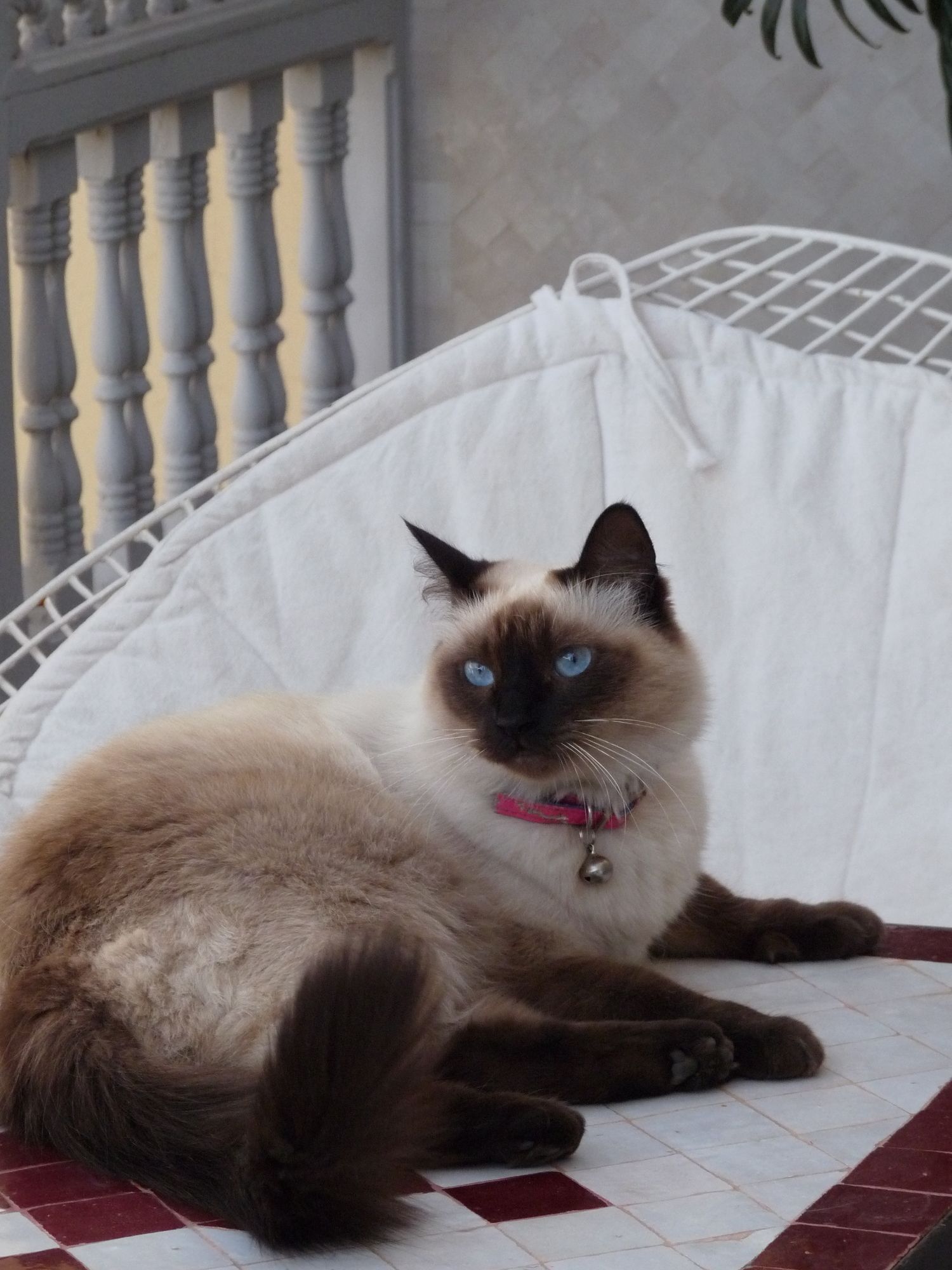 Фото Riad Noos Noos