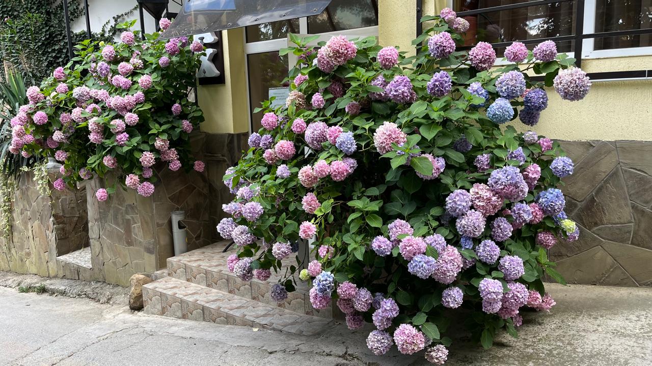 Фото Вилла Relax