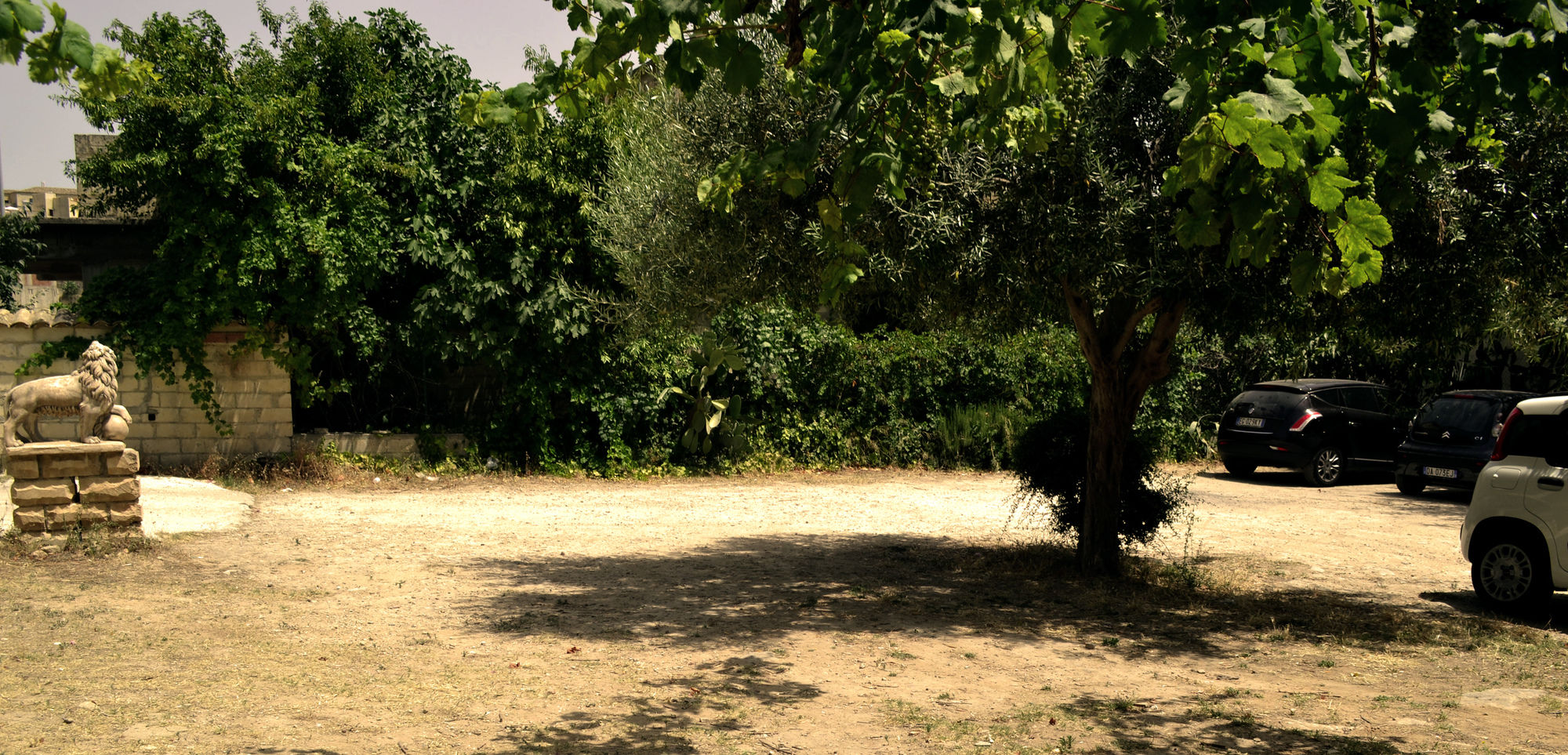 Фото B&b Villa Ambra