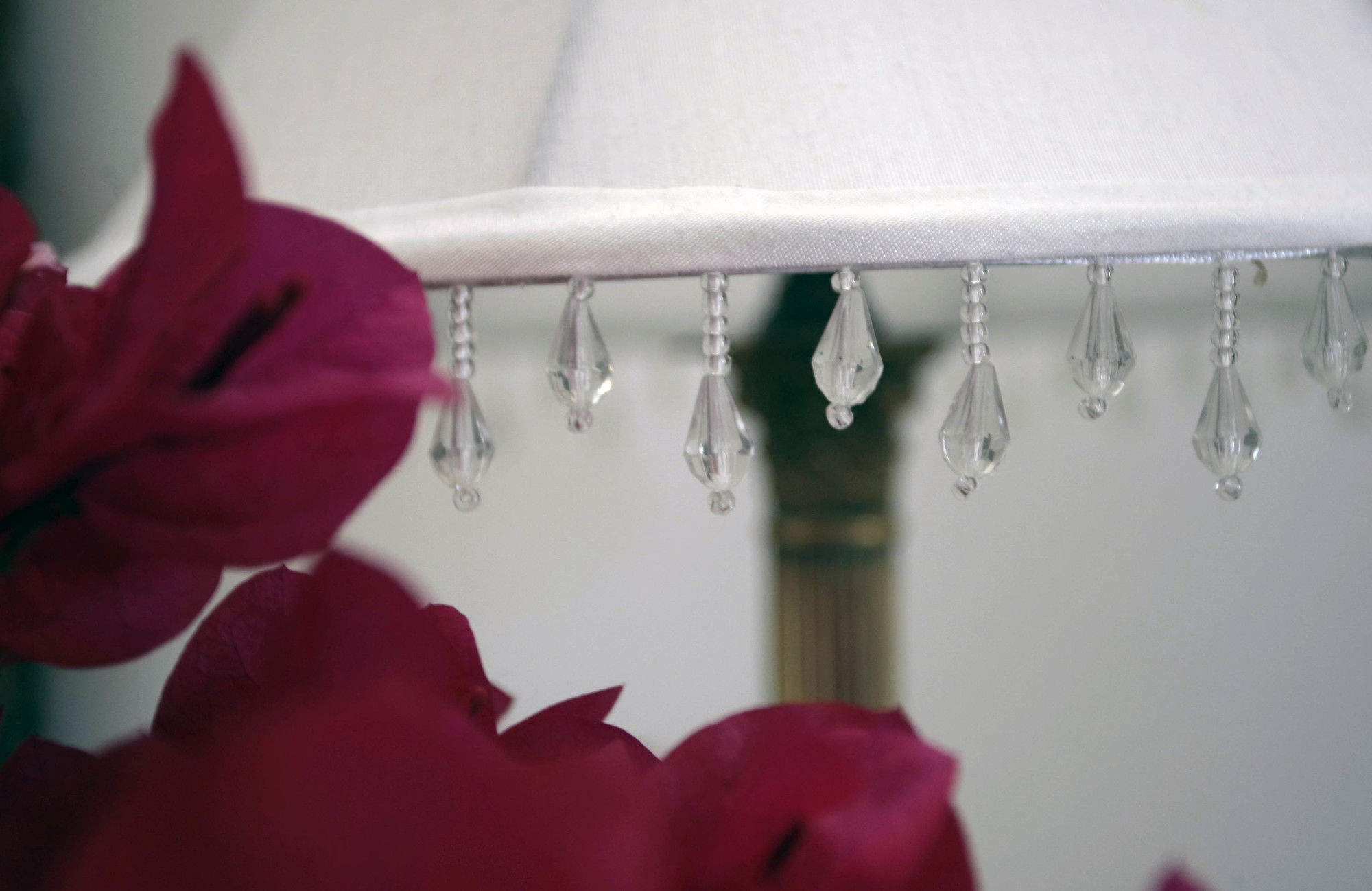 Фото Bella Ev Guest House