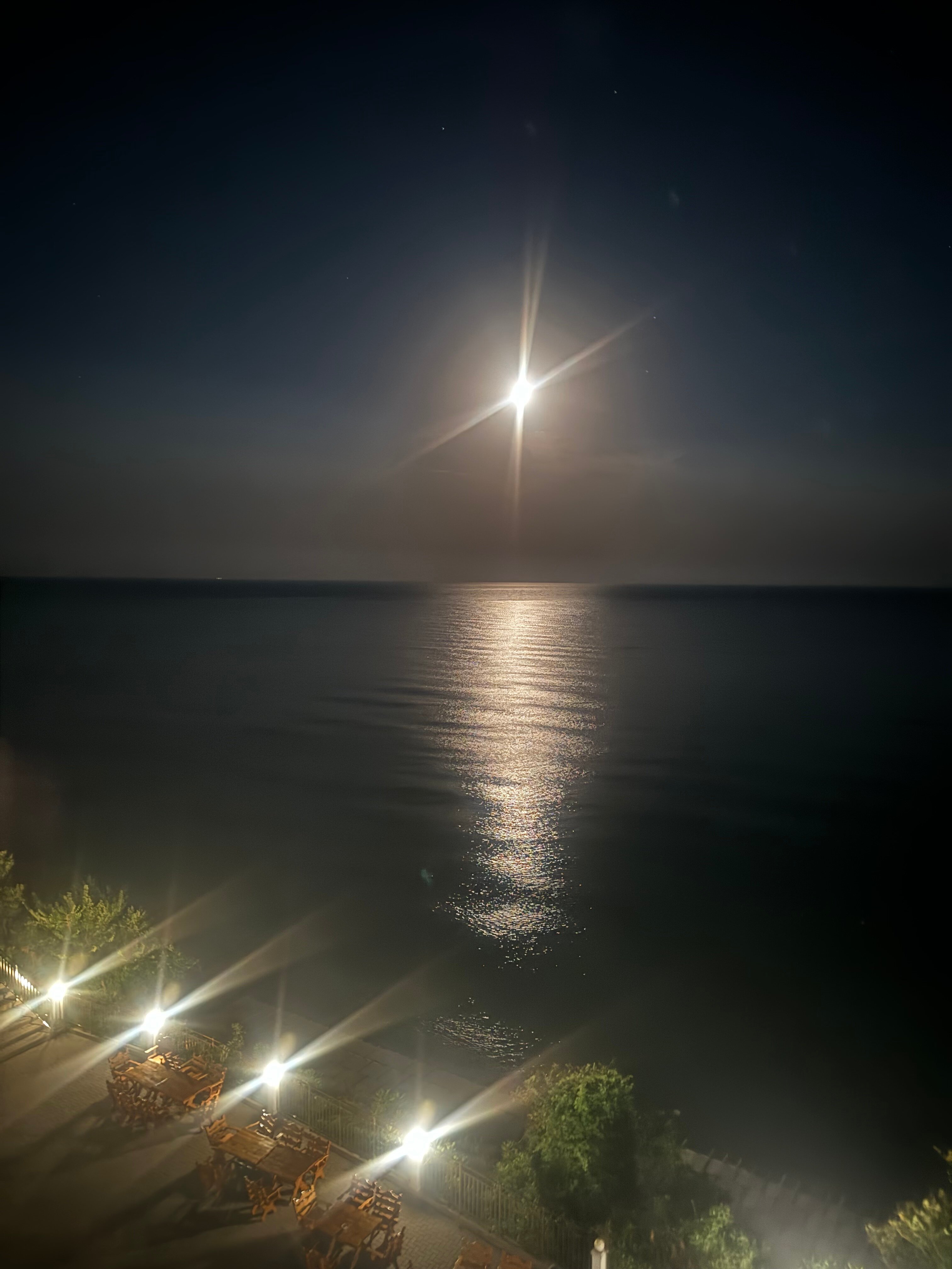 Фото Мироген