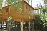 Фото Welcomheritage Lha - Ri - Sa Resort