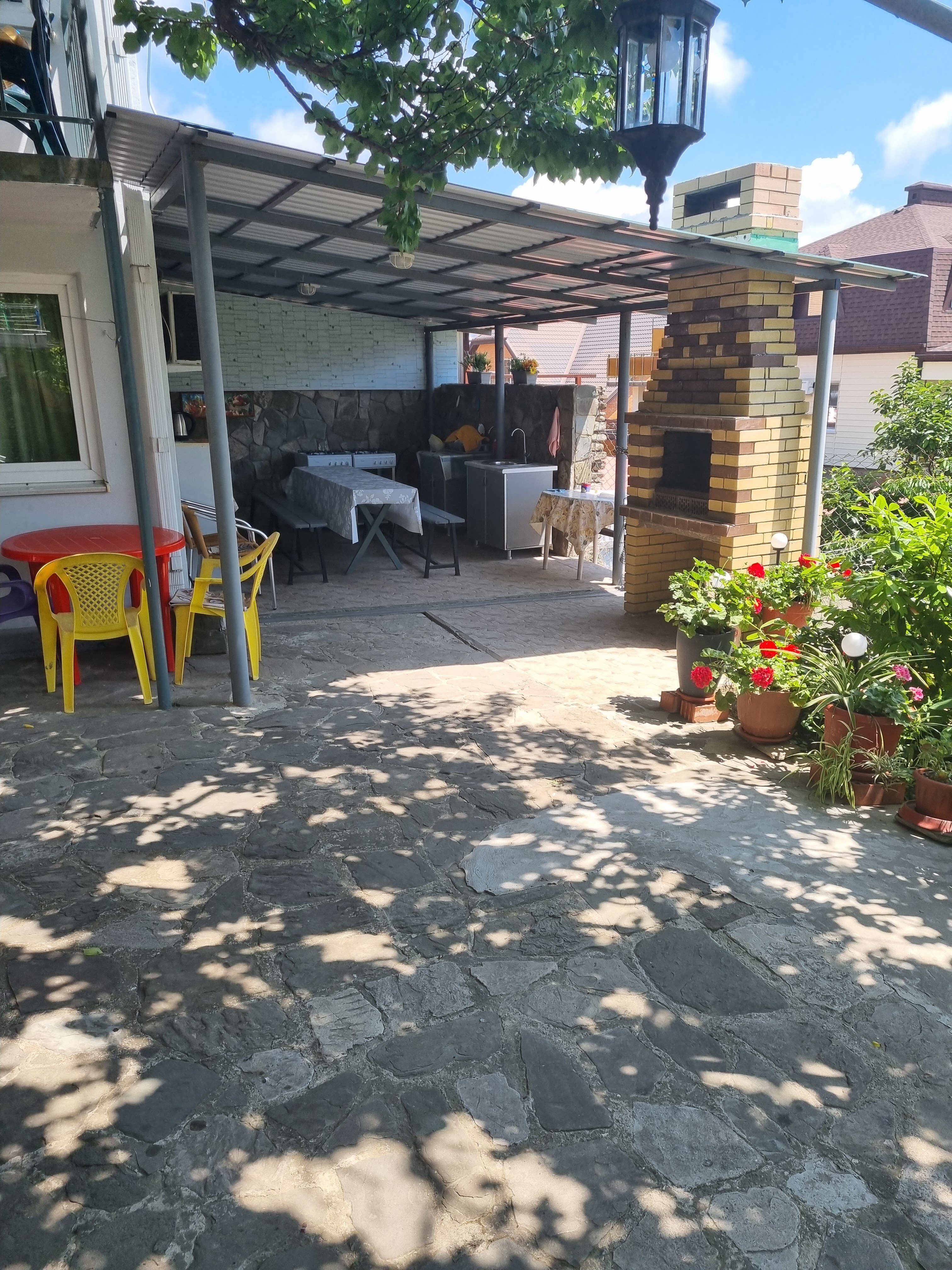 Фото Абрикос