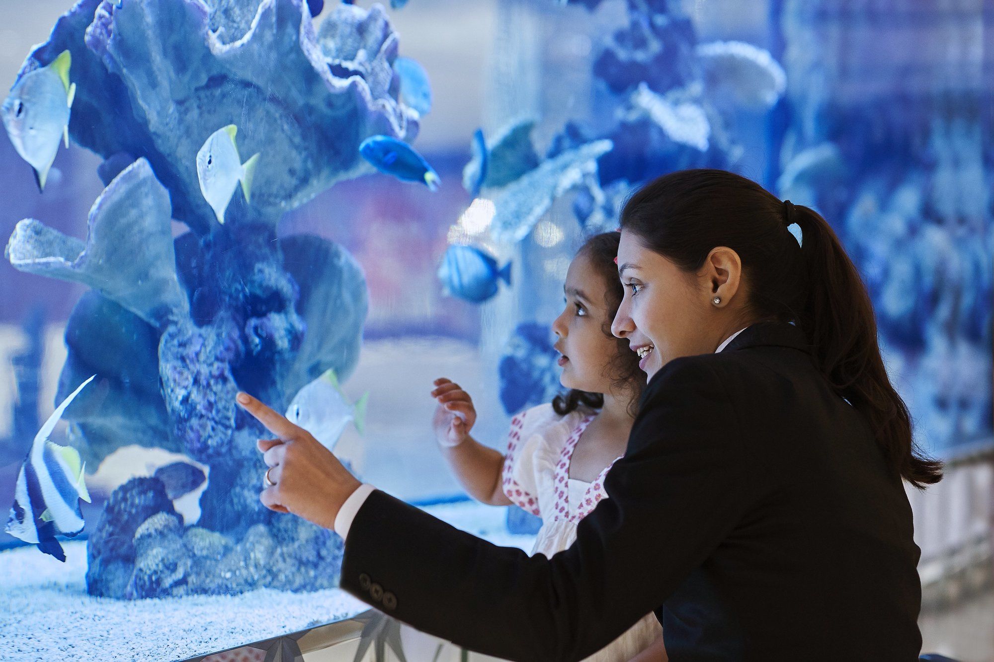 Фото Taj Santacruz