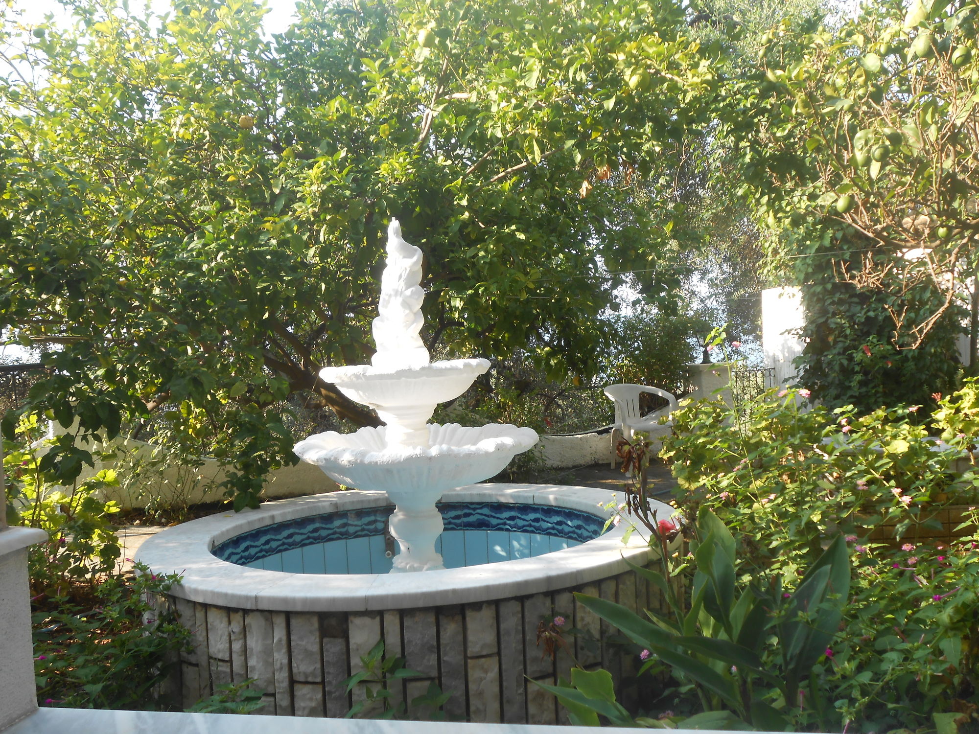 Фото Aphrodite Apartments