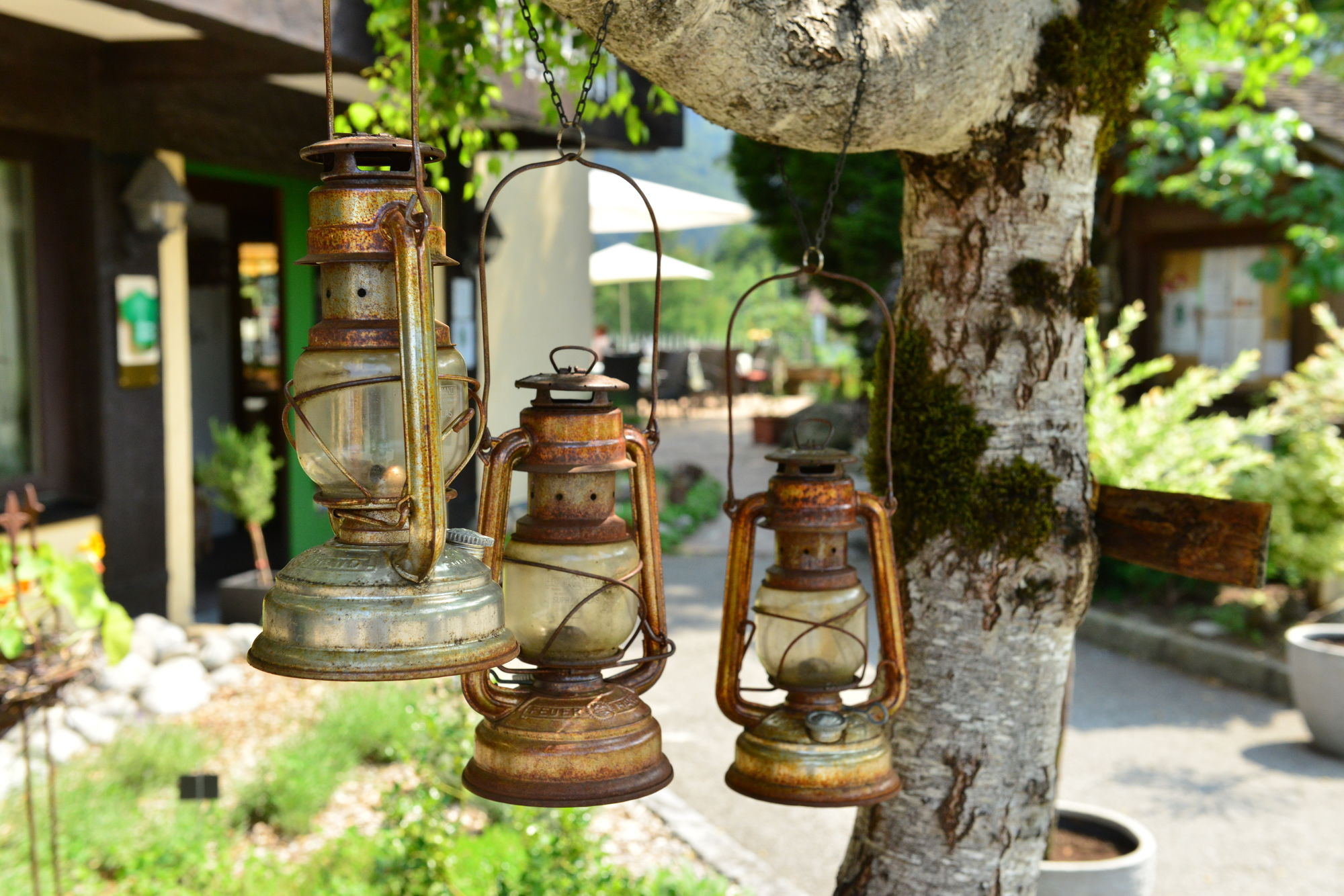 Фото Naturhotel Taleu