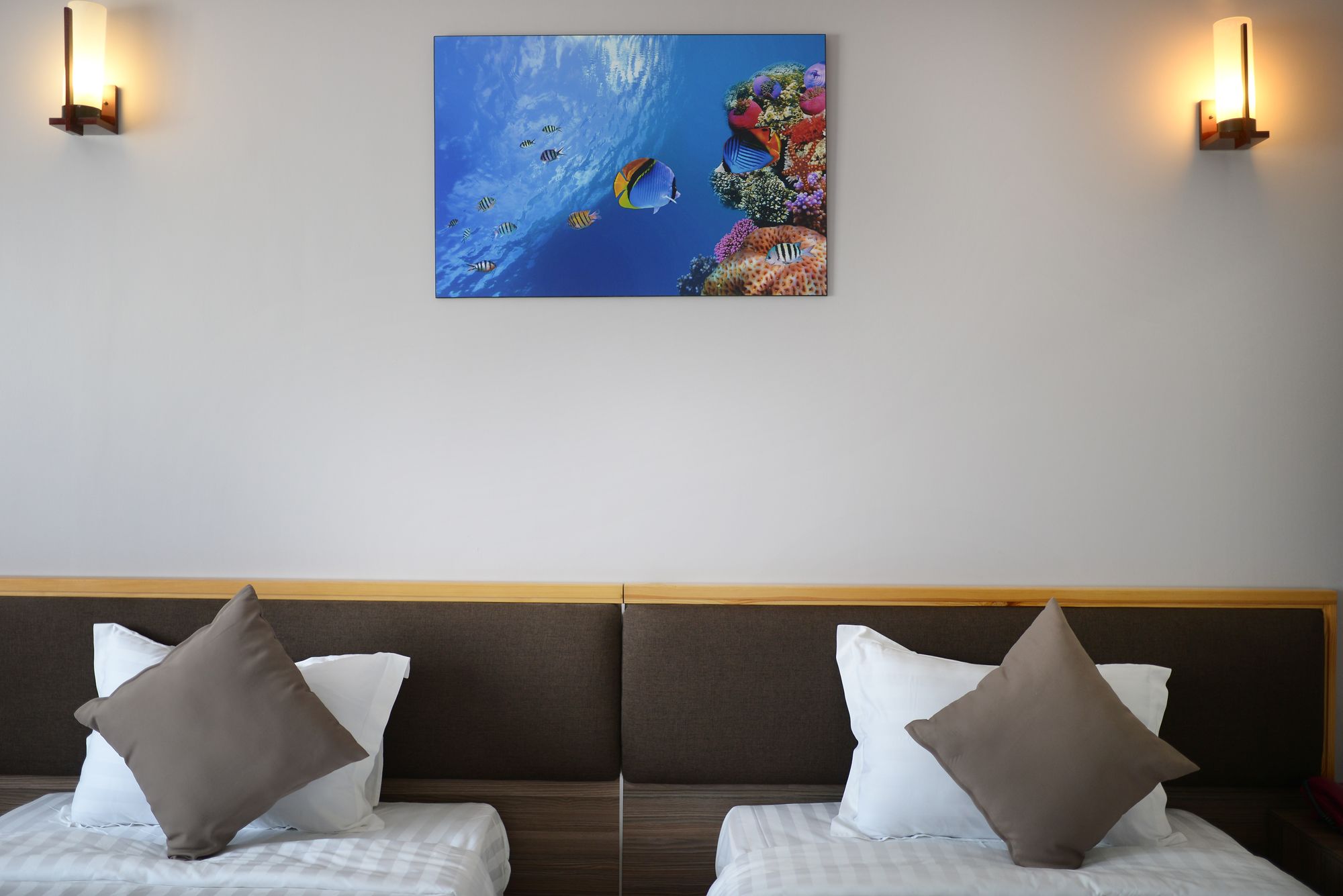 Фото Coral Hotel