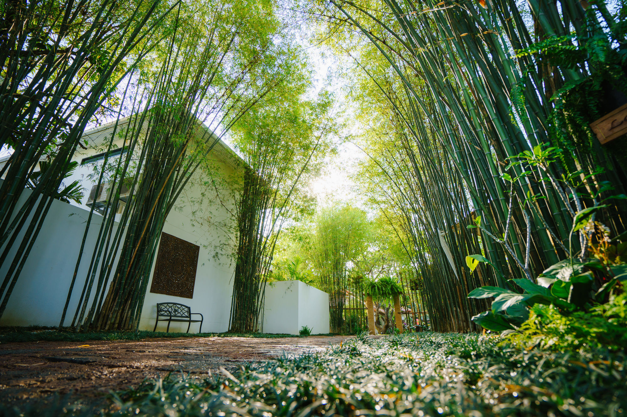 Фото Mango T. Villa Chiang Mai Resort