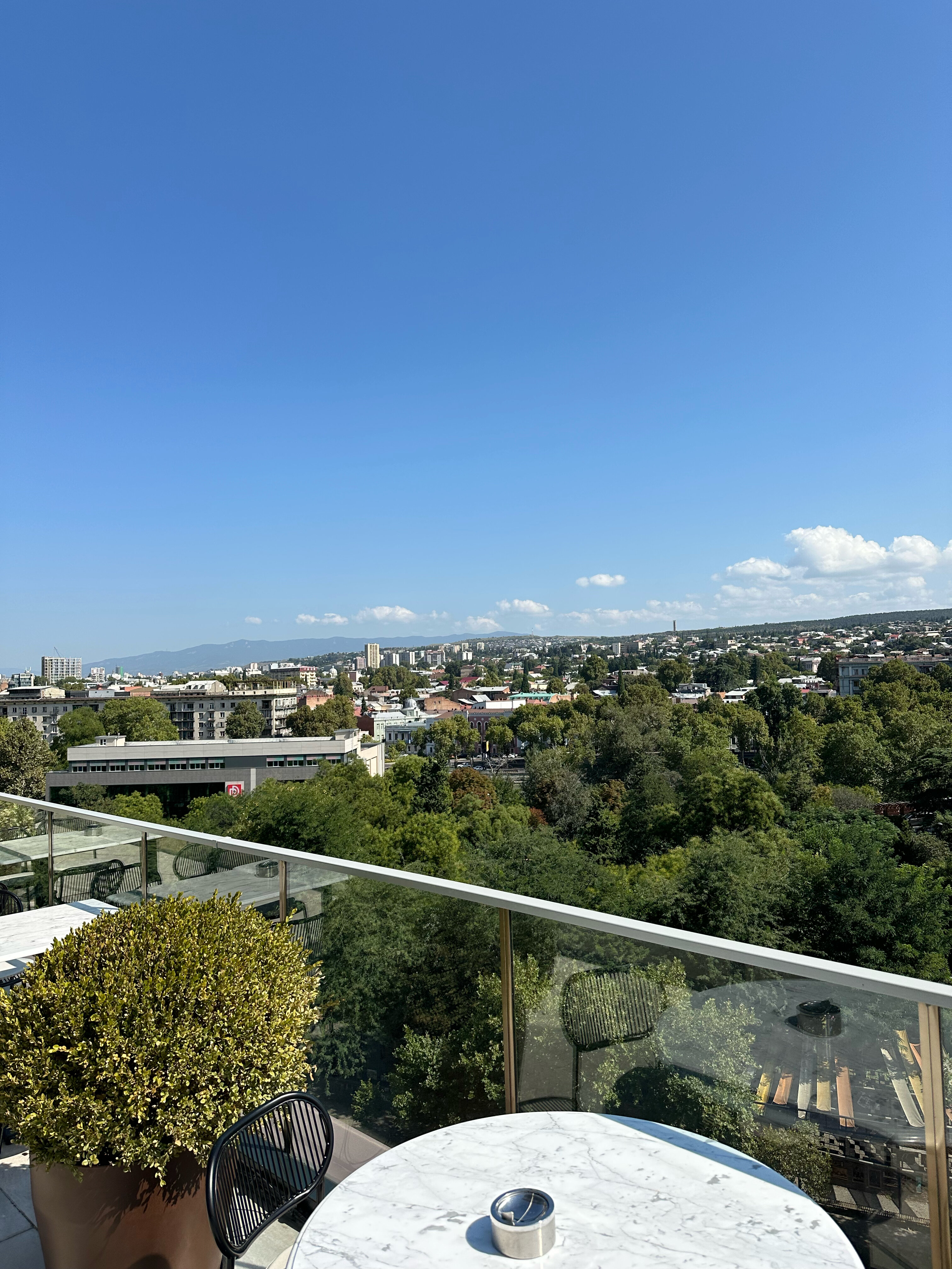 Фото Swissôtel Tbilisi