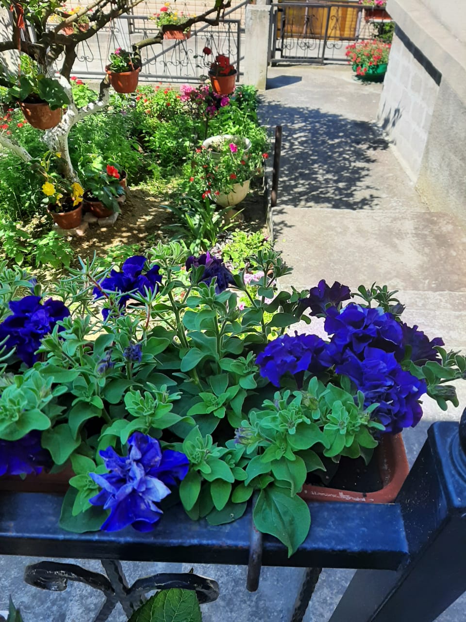 Фото Анна-Мария