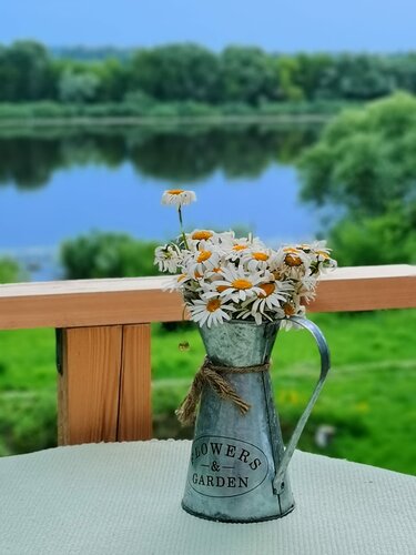 Гостевой дом LesDankin в Шатрище