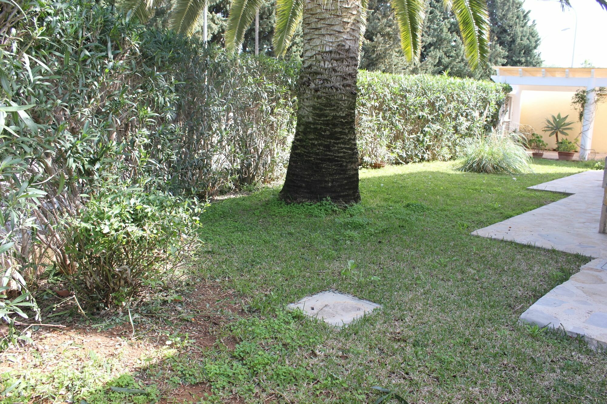 Фото 191948196059