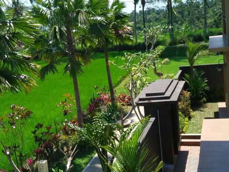 Фото Villa Chempaka