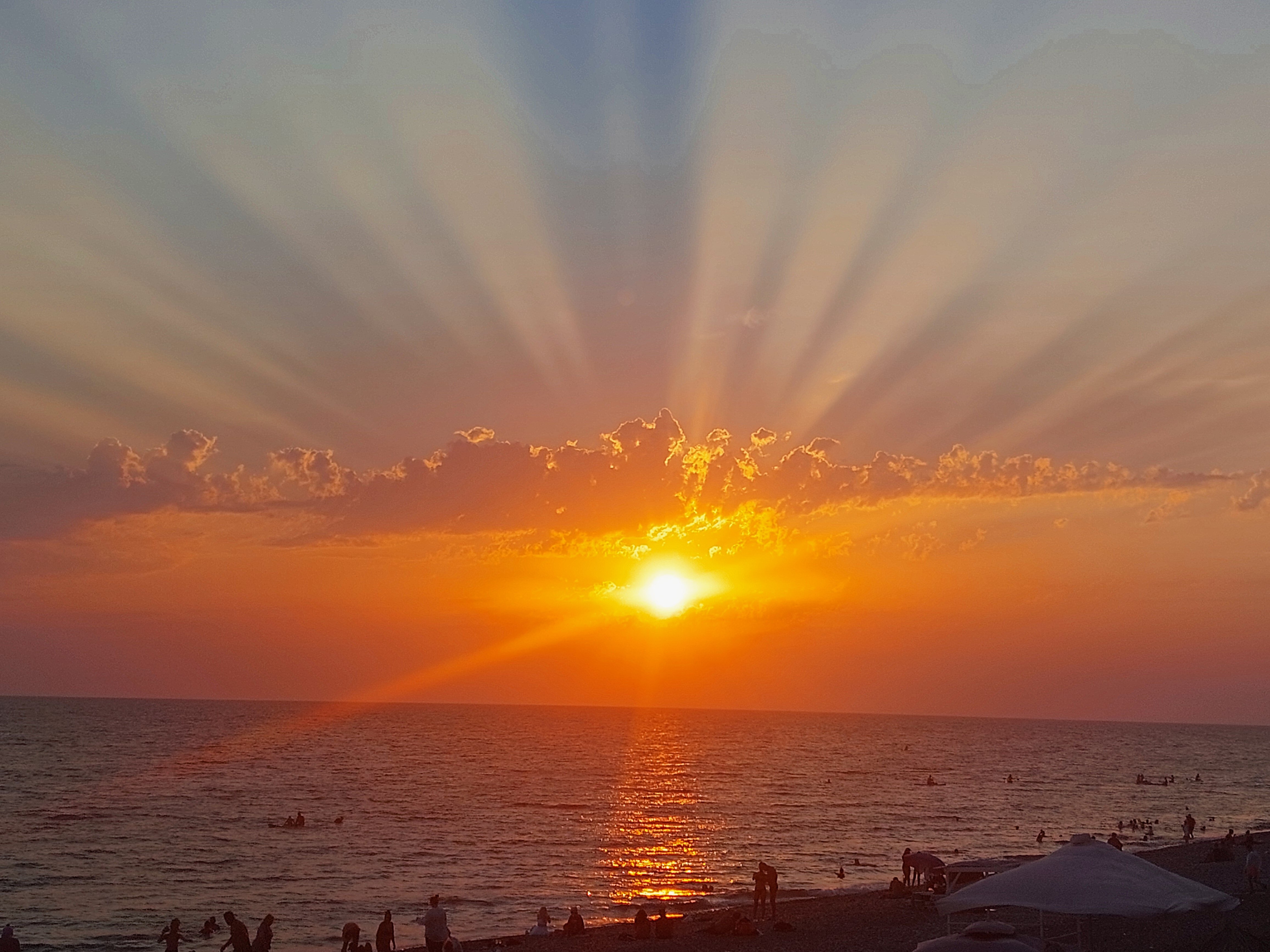 Фото Сосновый рай