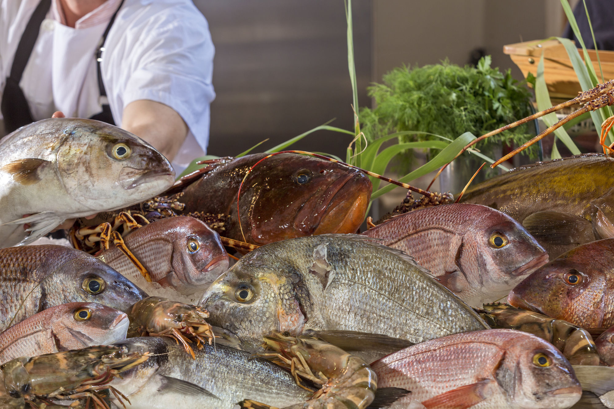 Фото Hippie Chic Hotel