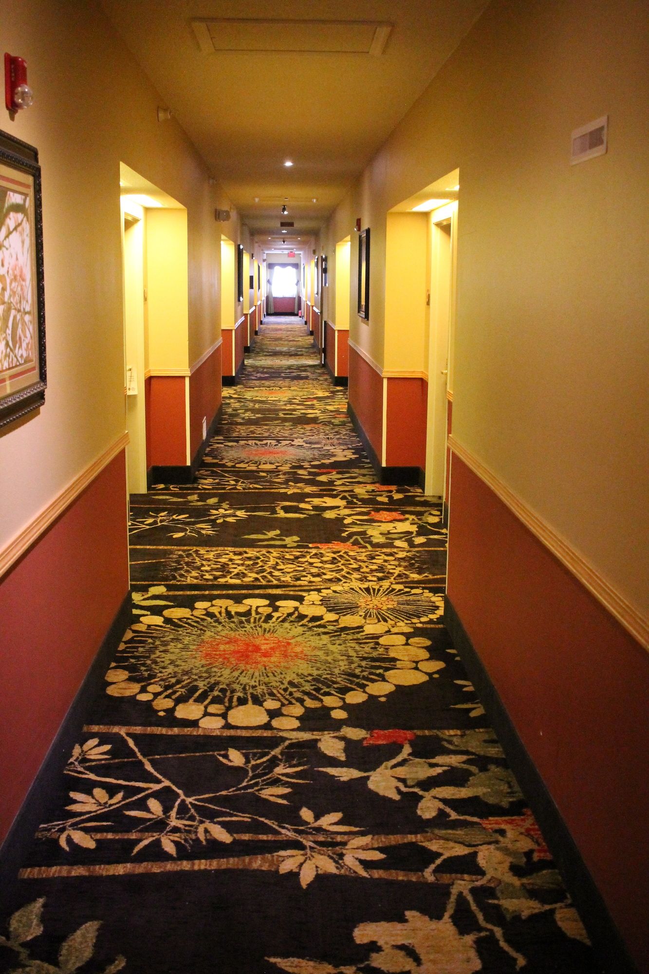 Фото Best Western Plus Des Moines West Inn & Suites