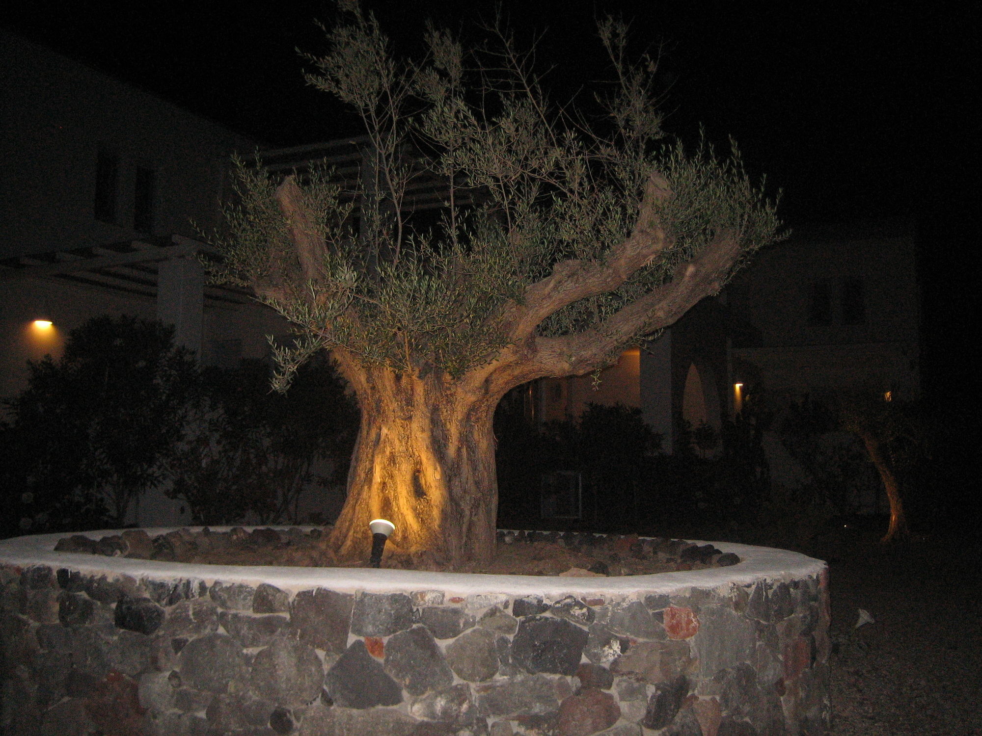 Фото Sun Anemos Resort