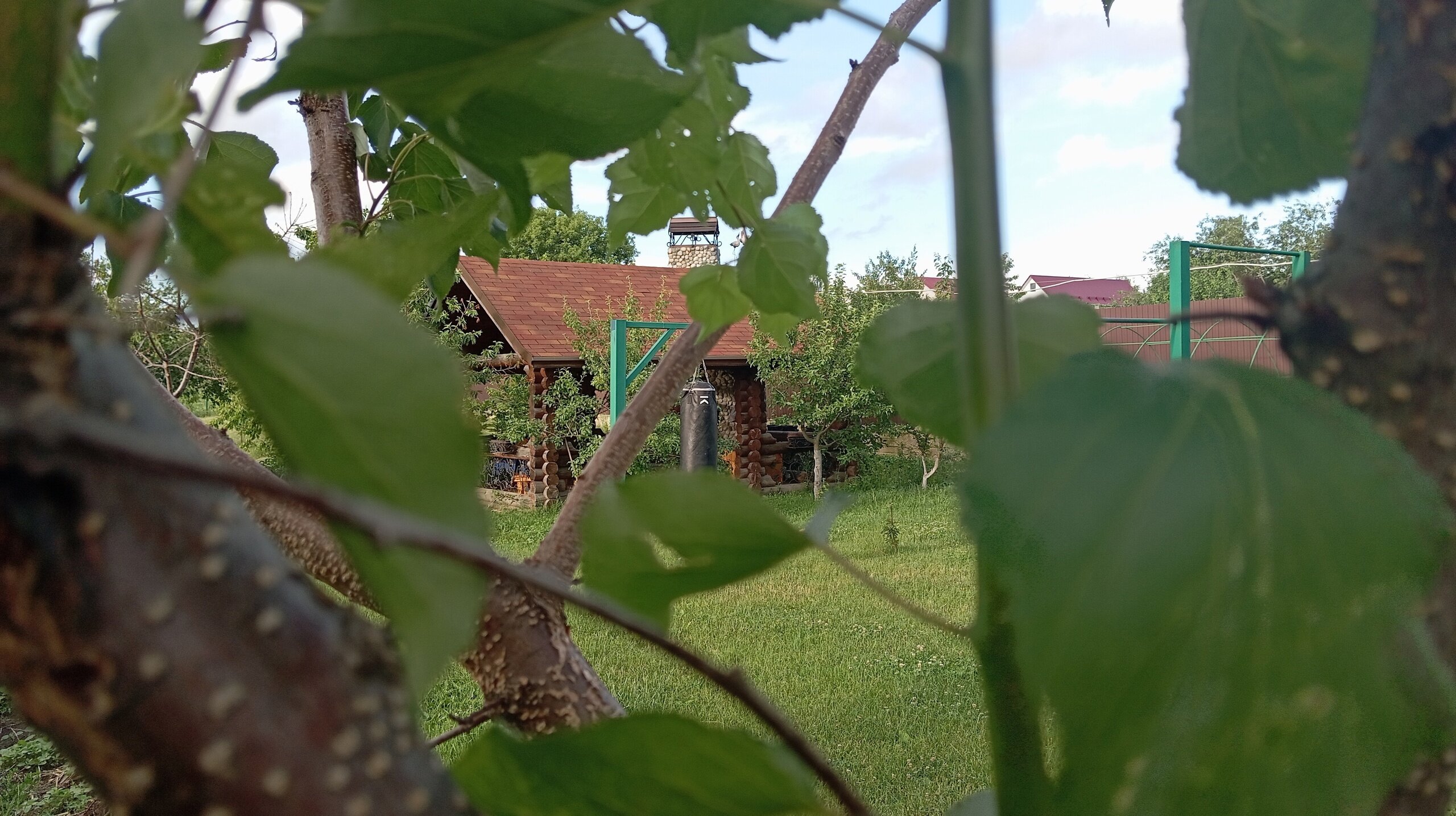 Фото Ноев Ковчег