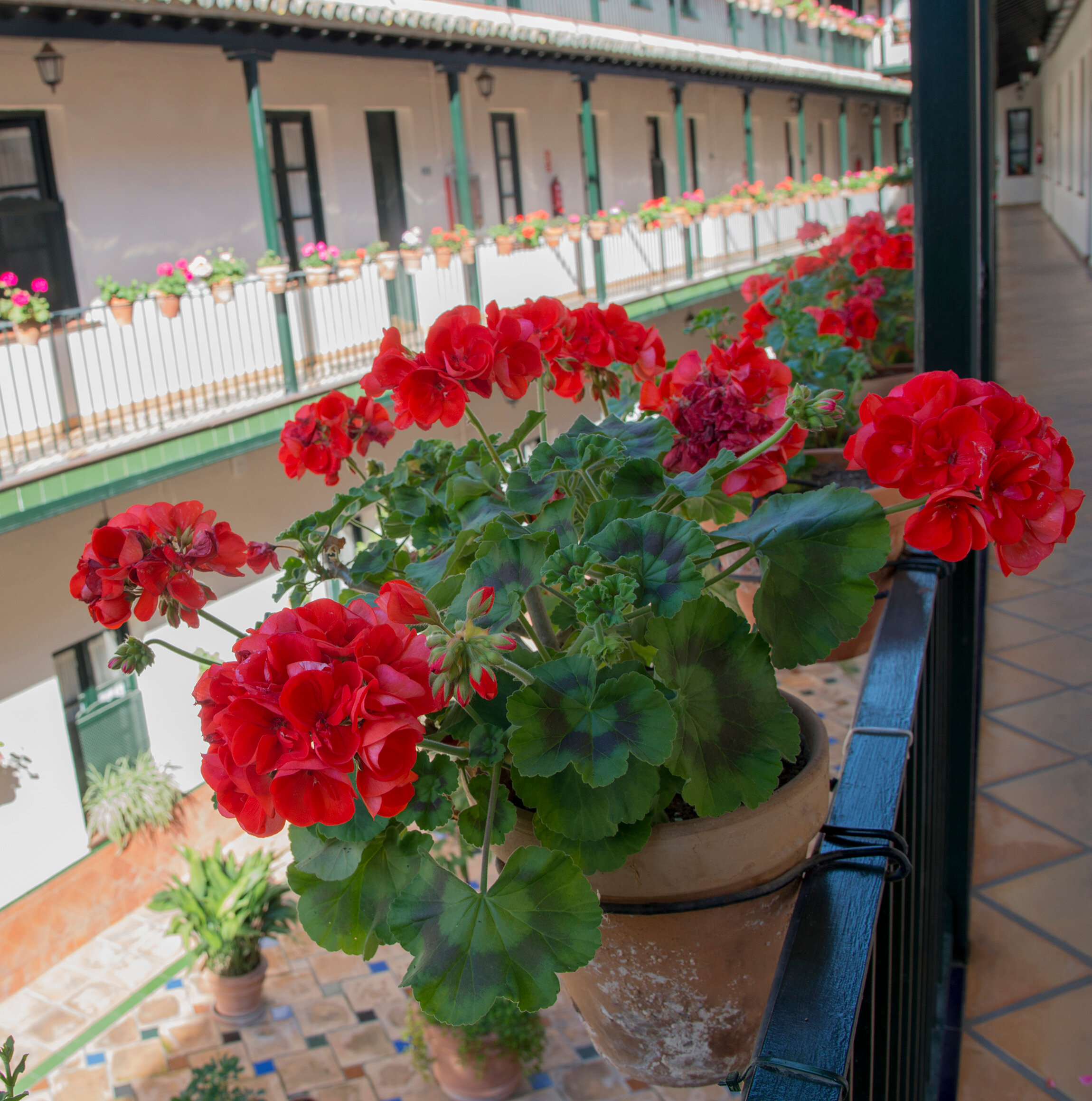 Фото Corral de los Chícharos Apartamentos