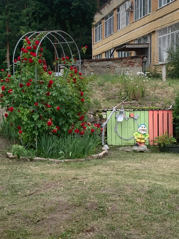 Фото Лесная жемчужина