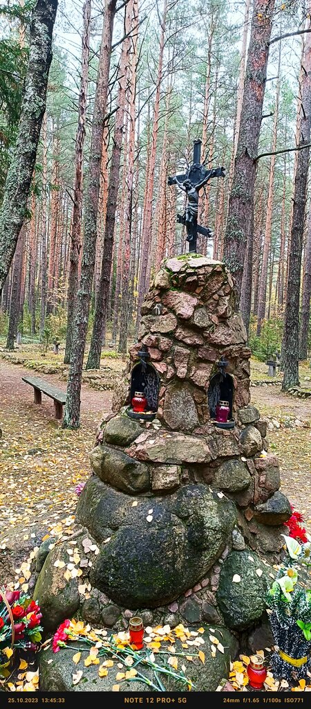 Monument, memorial Воинское Братское лазаретное кладбище времён первой мировой войны, Minsk District, photo