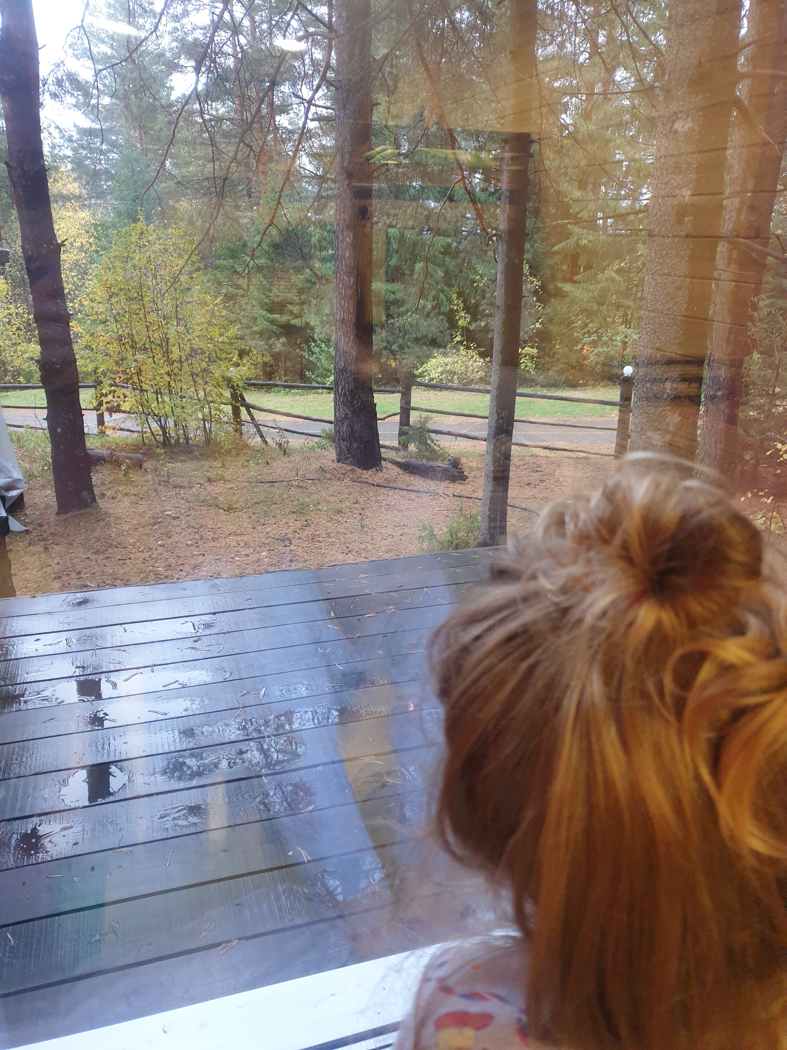 Фото Новая Волна