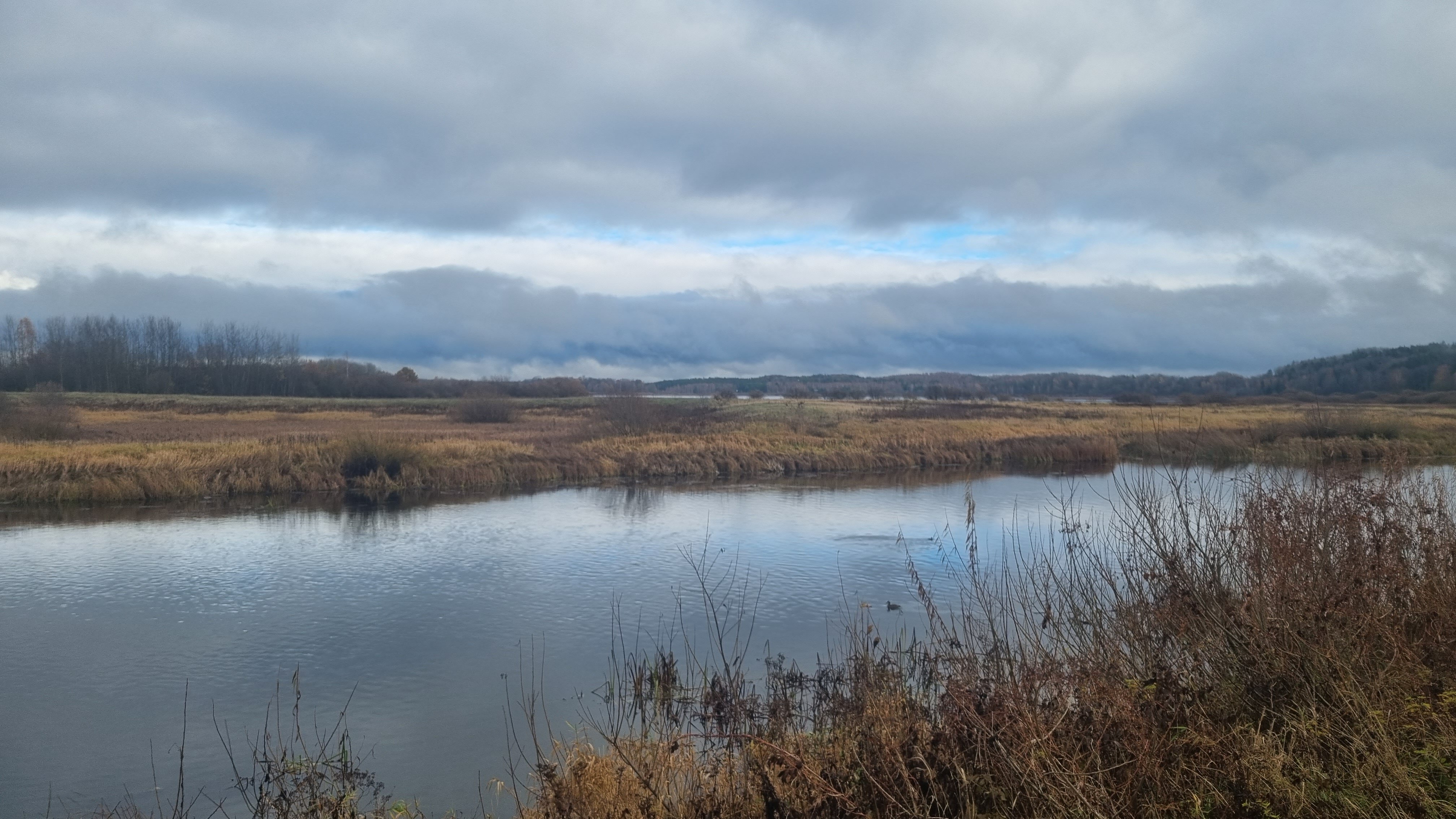 Фото Псковские дали