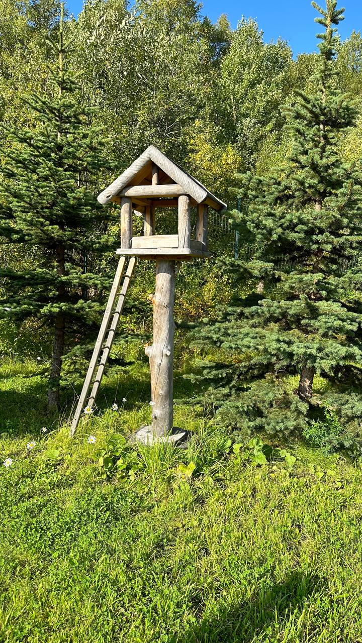 Фото 69 Параллель