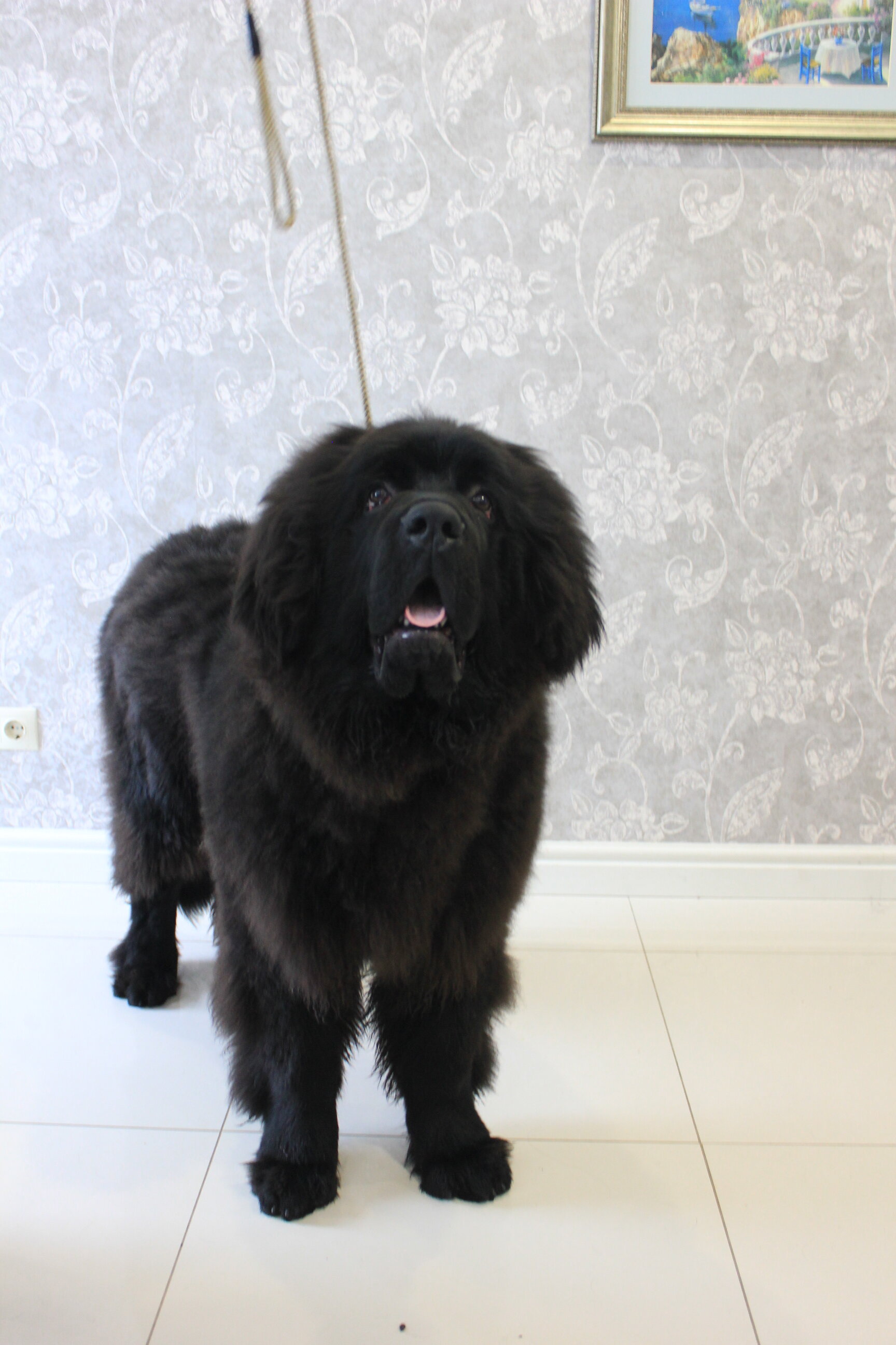 Фото Scandi Village