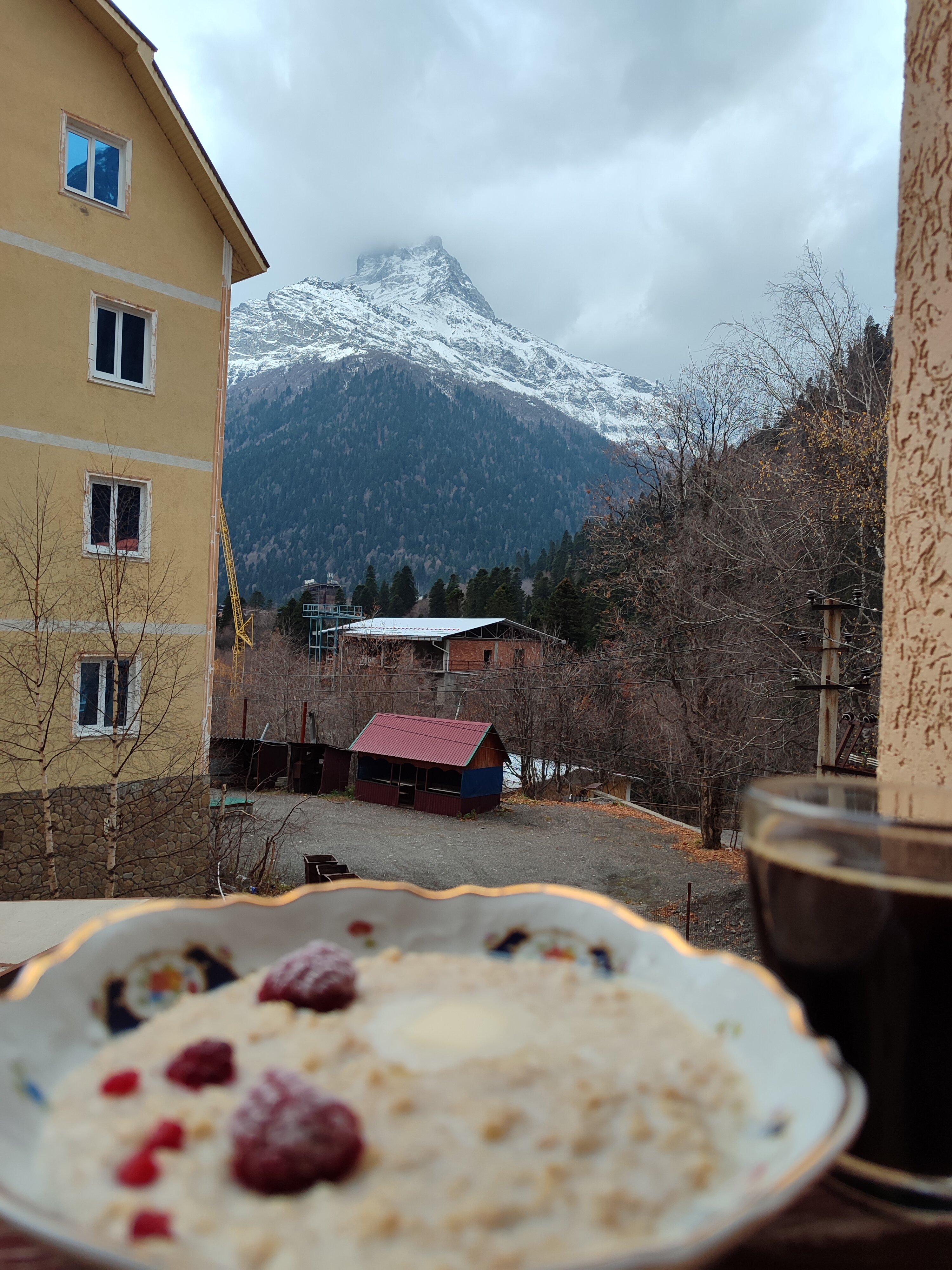 Фото Старый Клён