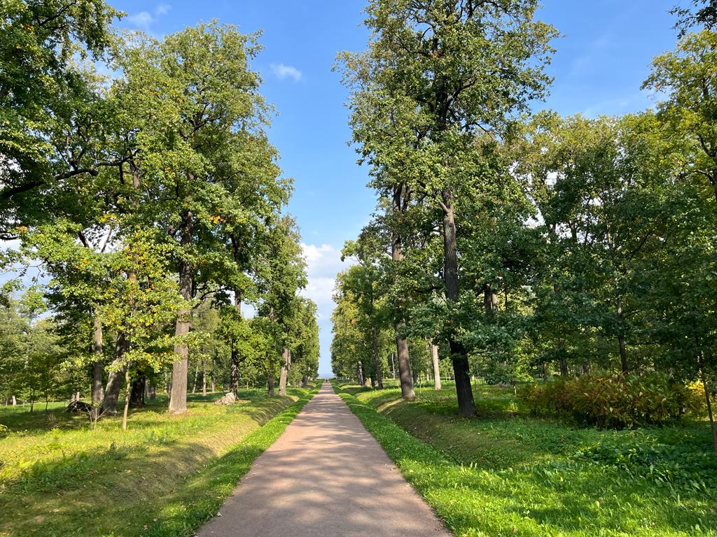 Фото Вилерона