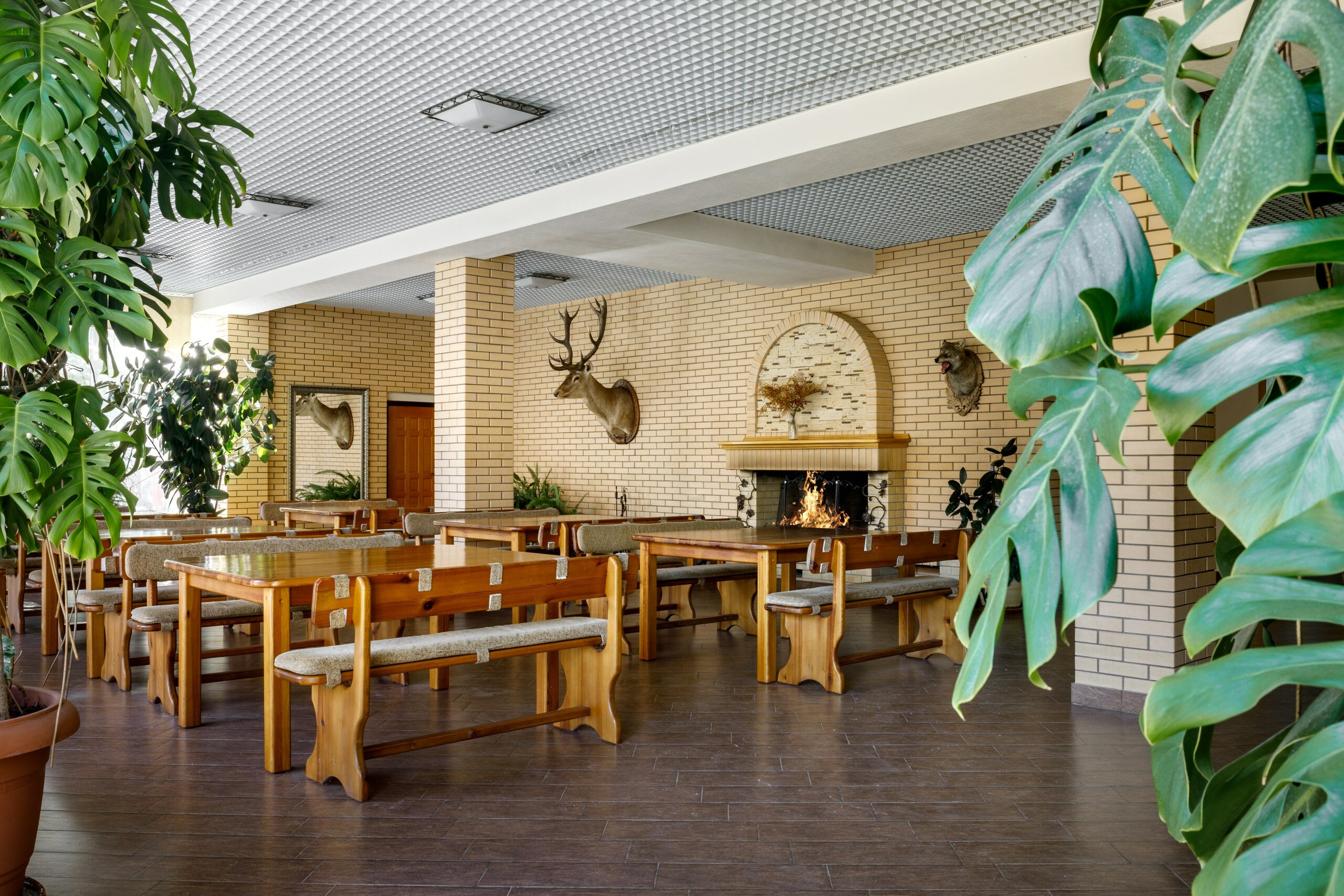 Фото Гостиница Мезмай