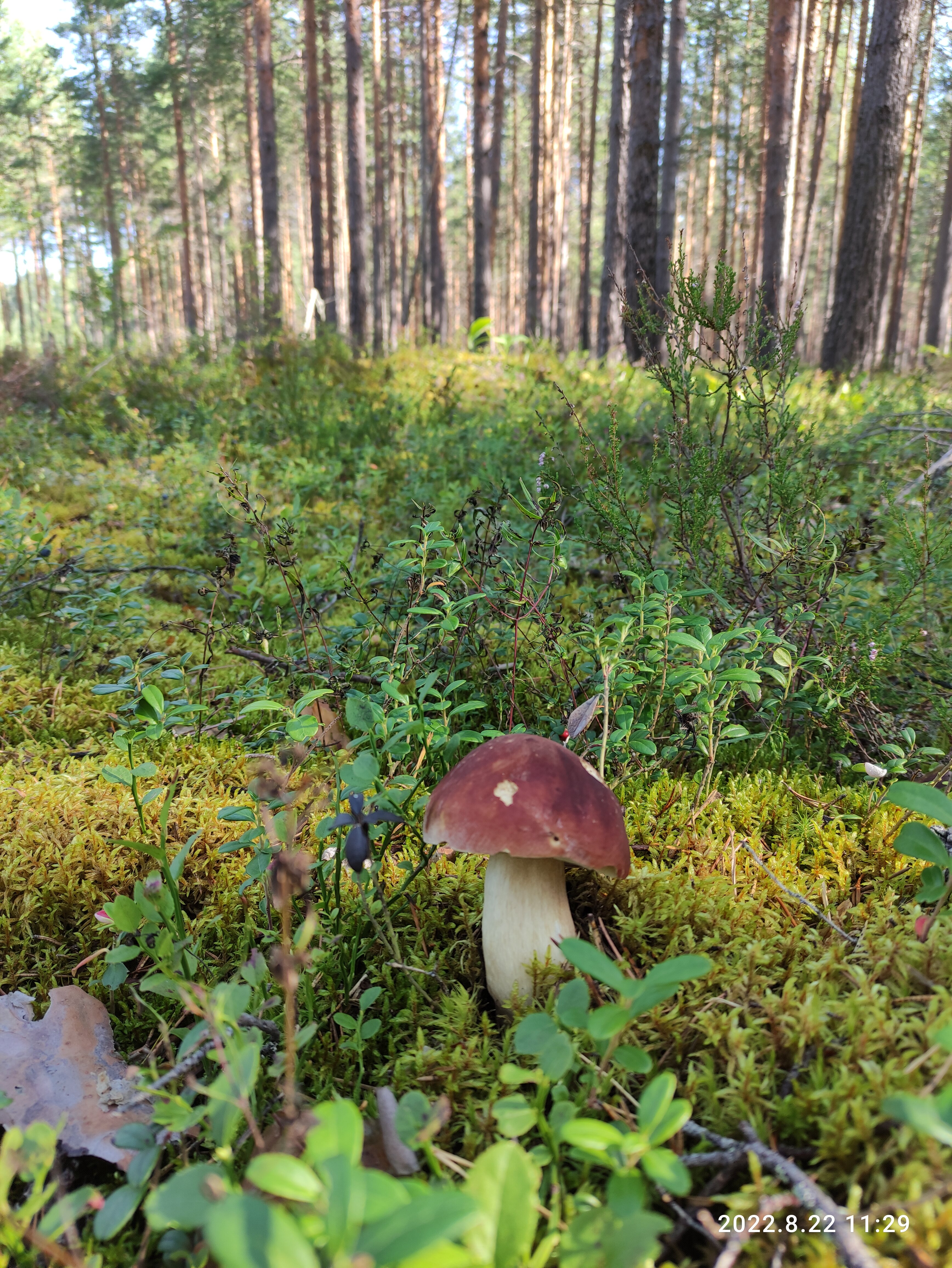 Фото Тихий берег